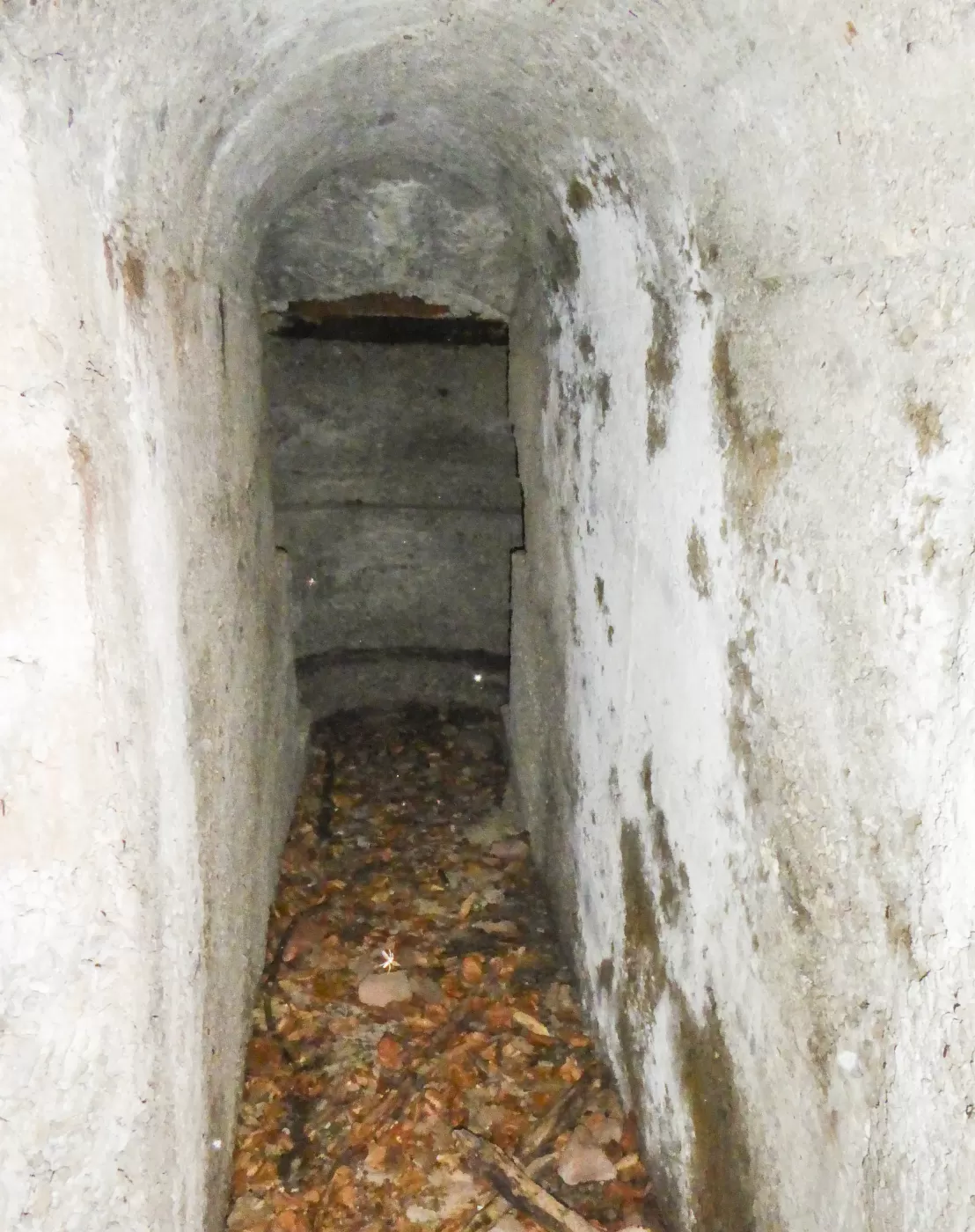 Ligne Maginot - FORT DE ROPPE SUD-EST 2 - (Blockhaus pour arme infanterie) -  - François VILLARS