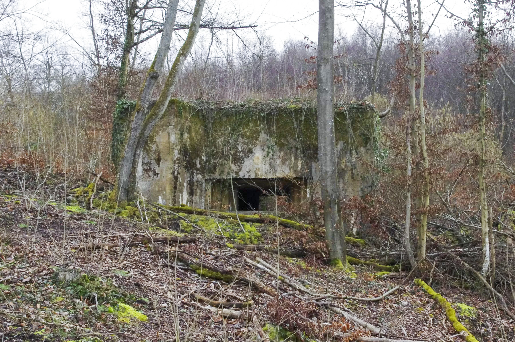 Ligne Maginot - CB105 - BROMACKER - (Blockhaus pour canon) - La façade de tir. - STENGER Mathieu