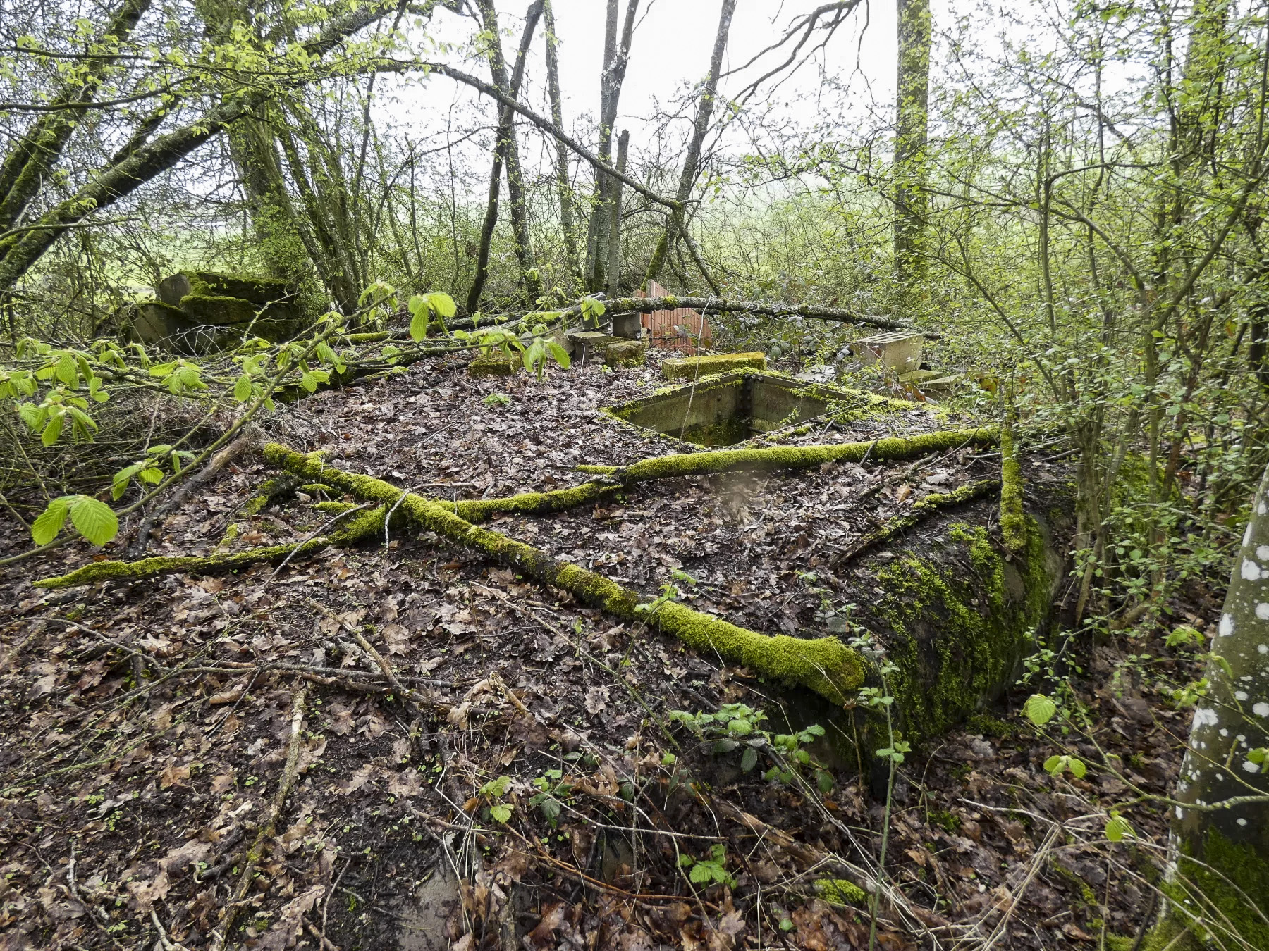 Ligne Maginot - 10T - (Chambre de coupure) - Une vue d'ensemble de la chambre de coupure. - STENGER Mathieu