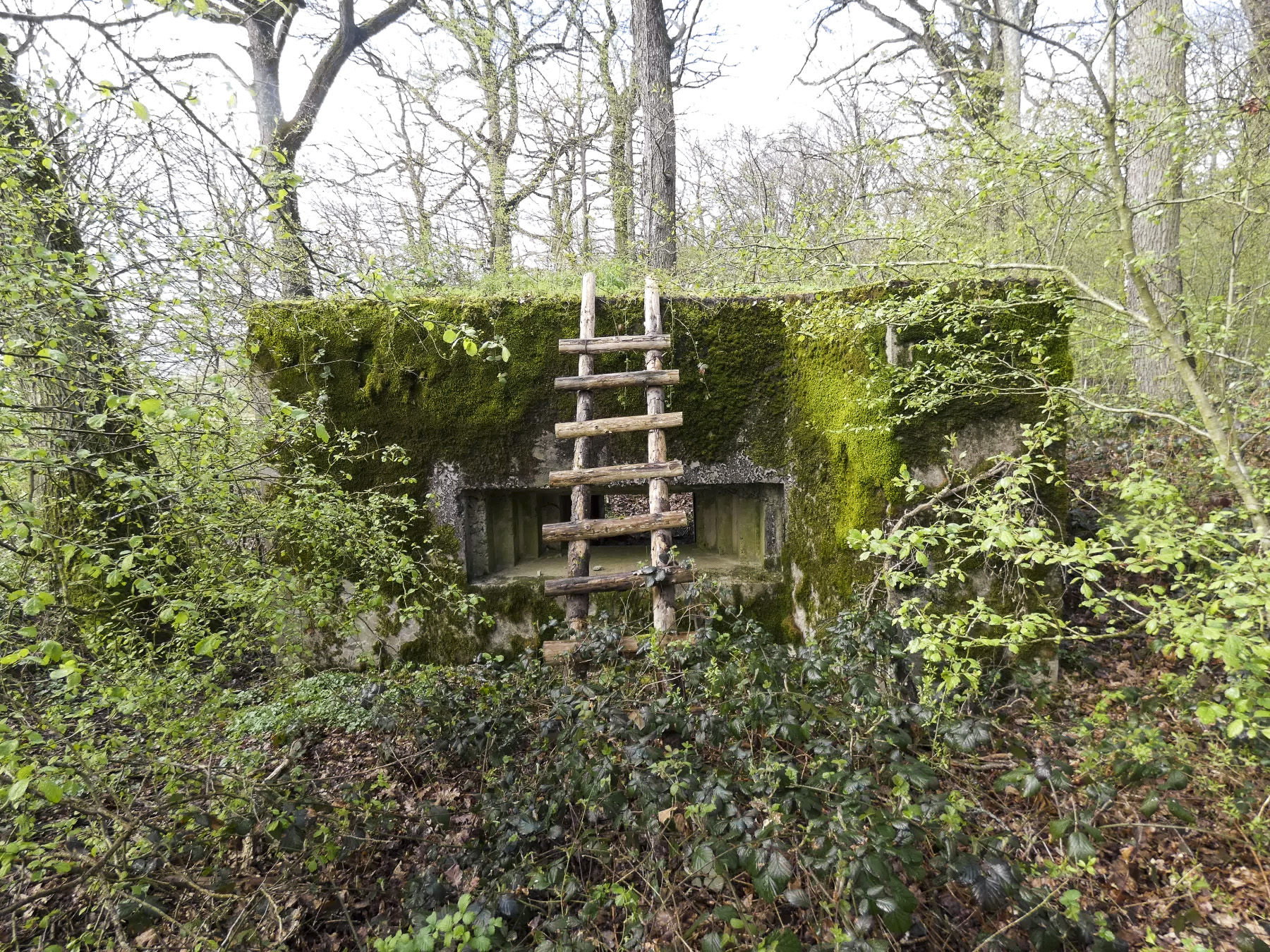 Ligne Maginot - CB309 - ZEITERHOLZ EST - (Blockhaus pour canon) - La façade de tir.  - STENGER Mathieu