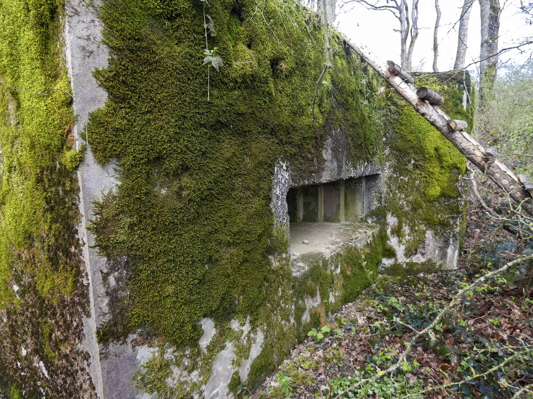 Ligne Maginot - CB309 - ZEITERHOLZ EST - (Blockhaus pour canon) - La façade de tir.  - STENGER Mathieu