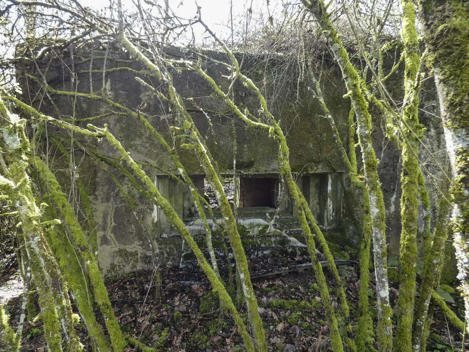 Ligne Maginot - CB313 - RASPICH - (Blockhaus pour canon) - La façade de tir.  - STENGER Mathieu