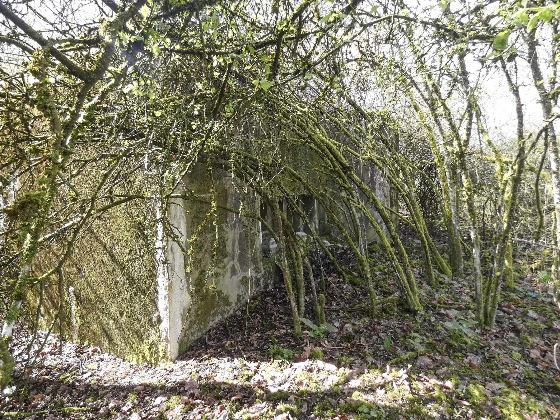 Ligne Maginot - CB313 - RASPICH - (Blockhaus pour canon) - La façade de tir.  - STENGER Mathieu