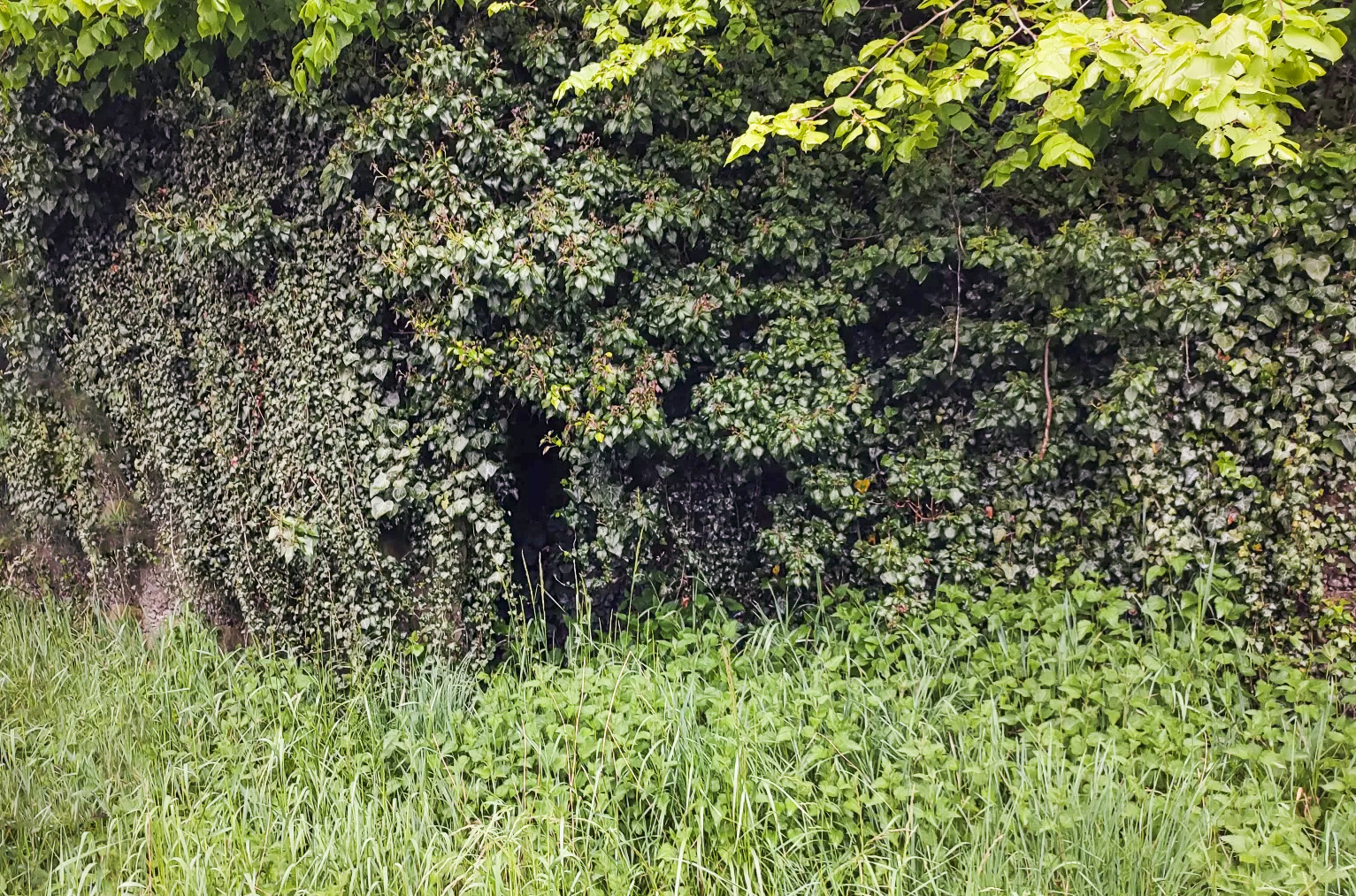 Ligne Maginot - SIERSTHAL 1 - (PC) - La deuxième entrée - J.L