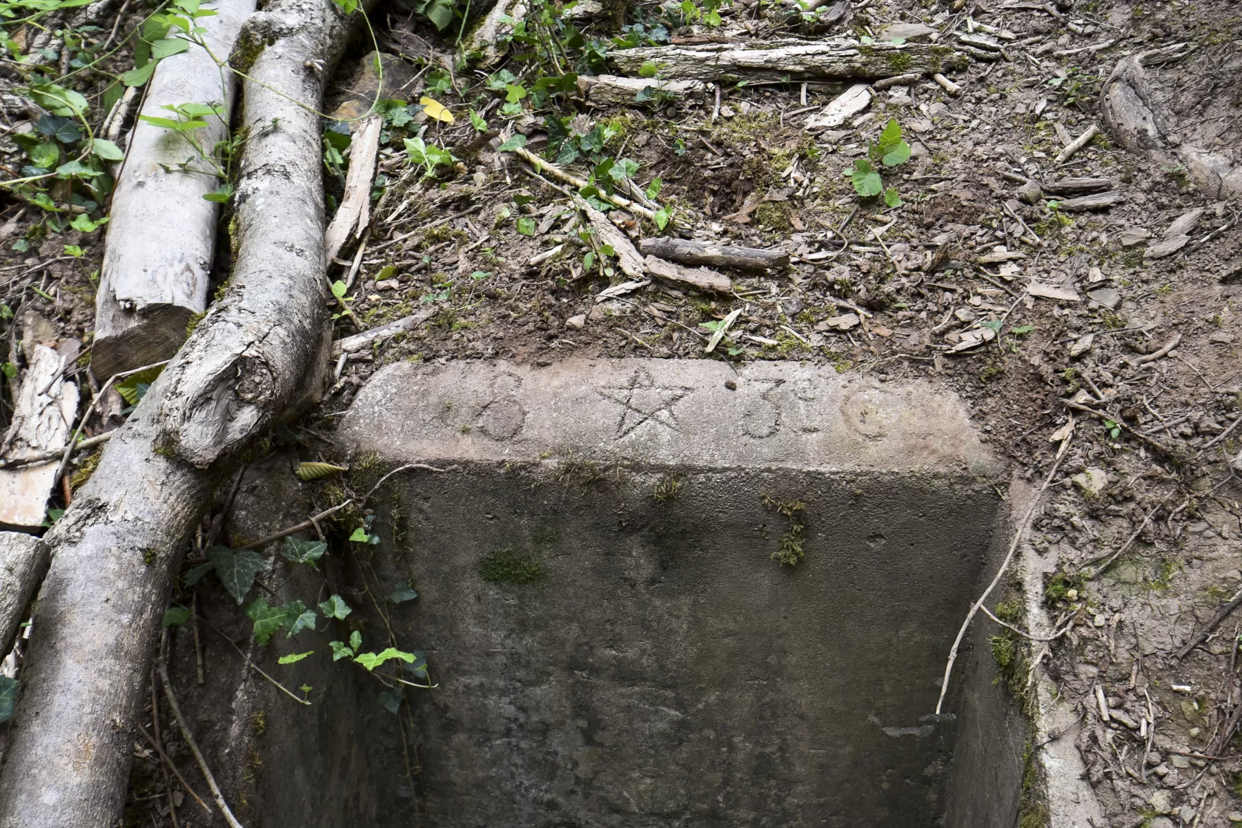 Ligne Maginot - BOIS DE VETRIGNE SUD - (Blockhaus pour arme infanterie) -  - Ludovic KNAPP