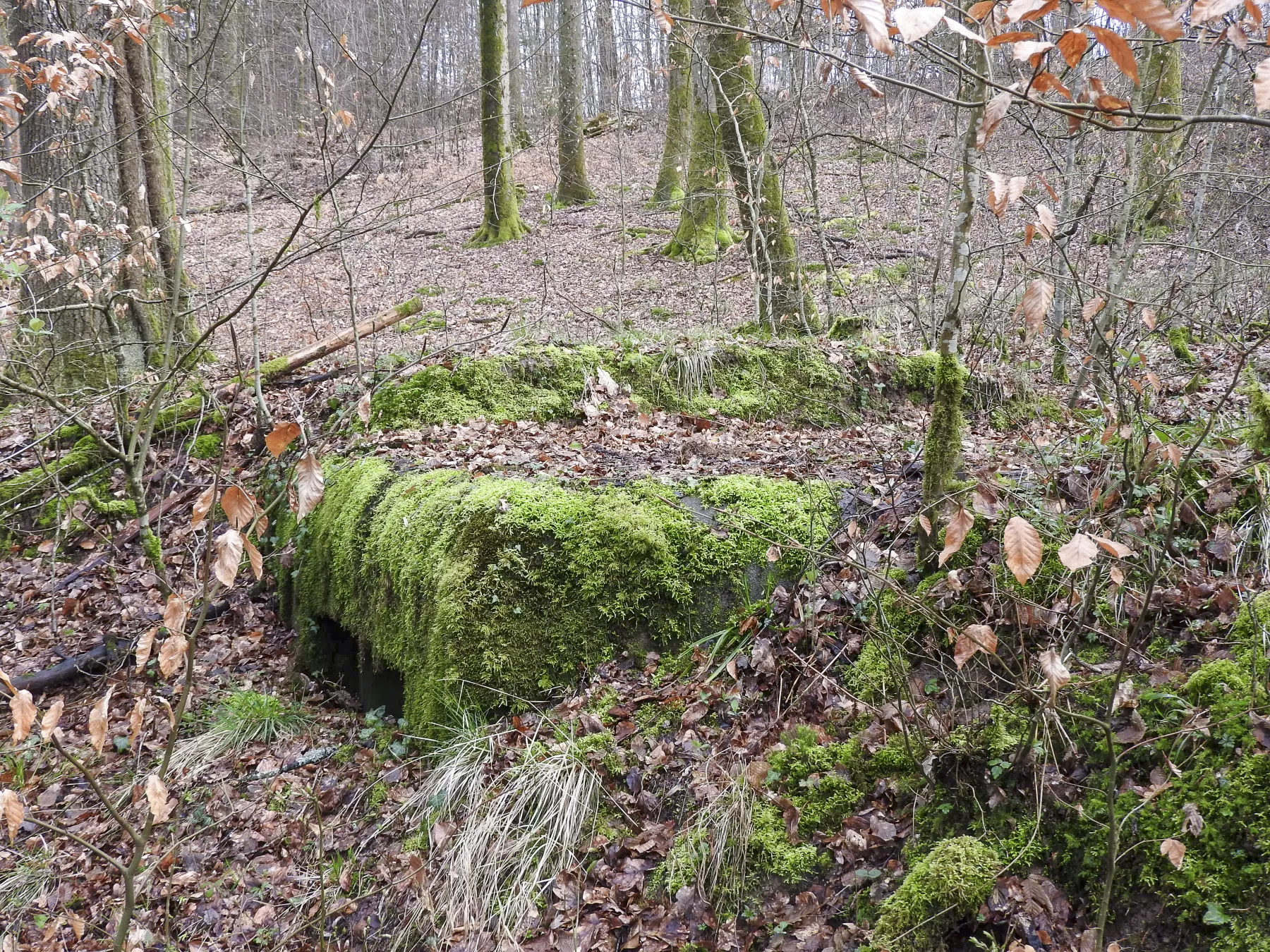 Ligne Maginot - KUHBRUCK OUEST - (Blockhaus pour canon) - La façade de tir. - STENGER Mathieu