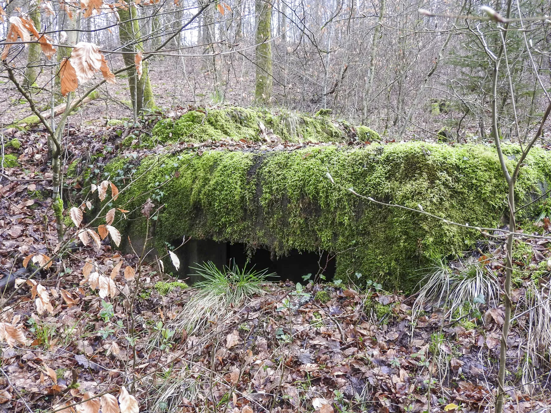 Ligne Maginot - KUHBRUCK OUEST - (Blockhaus pour canon) - L'embrasure pour le canon anti-char. - STENGER Mathieu