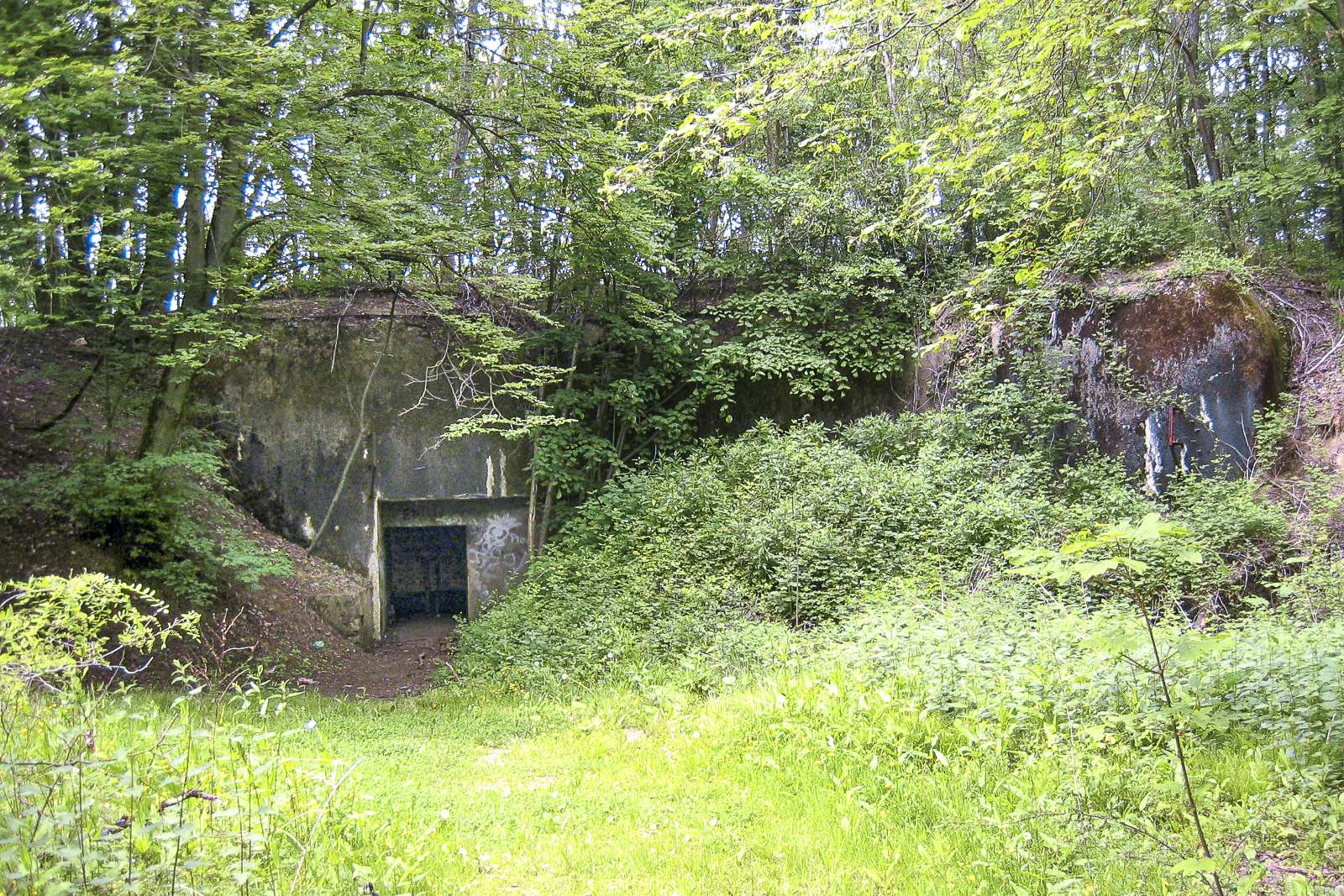 Ligne Maginot - SOETRICH - A11 - (Ouvrage d'artillerie) - Entrée des hommes en 2004
Après le premier merlonnage encore léger - Michel Teiten