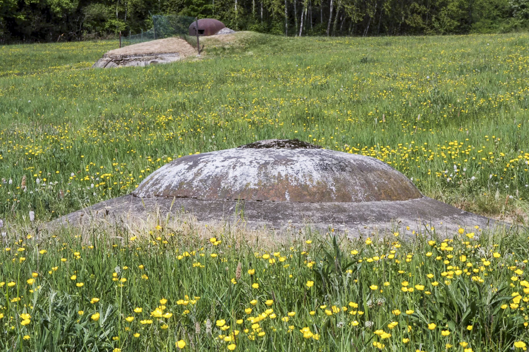 Ligne Maginot - IMMERHOF - A10 - (Ouvrage d'infanterie) - Bloc entrée
Cloche LG.
Le bloc 3 et sa cloche GFM sont visibles à l'arrière-plan - Michel Teiten
