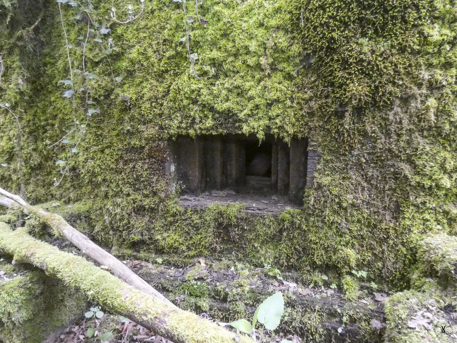 Ligne Maginot - BB354 - MEDERCHEN OUEST - (Blockhaus pour arme infanterie) -  - Vincent Vermeulen
