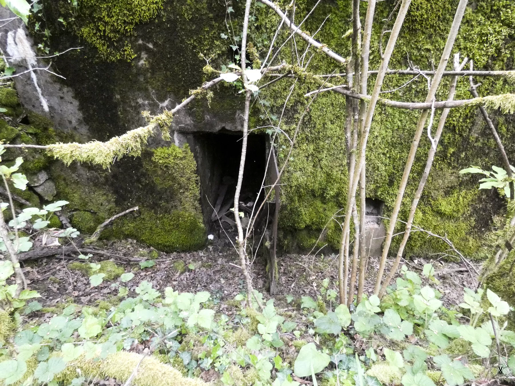 Ligne Maginot - BB354 - MEDERCHEN OUEST - (Blockhaus pour arme infanterie) -  - Vincent Vermeulen