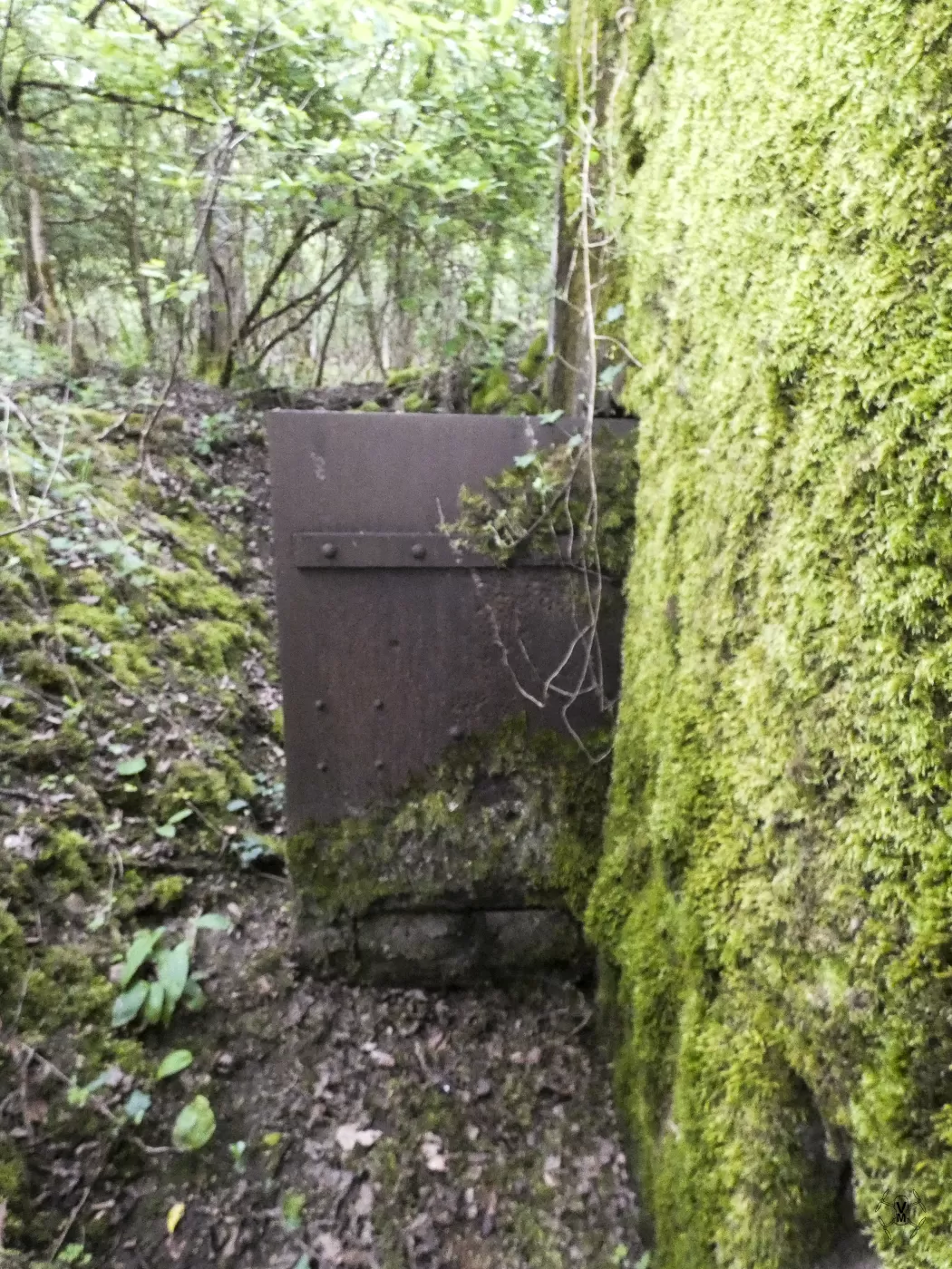 Ligne Maginot - BB354 - MEDERCHEN OUEST - (Blockhaus pour arme infanterie) -  - Vincent Vermeulen