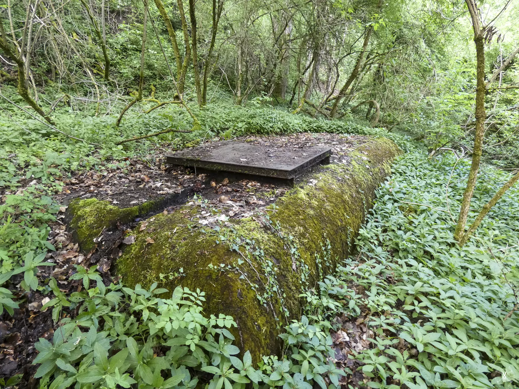 Ligne Maginot - 77M - (Chambre de coupure) -  - Vincent Vermeulen