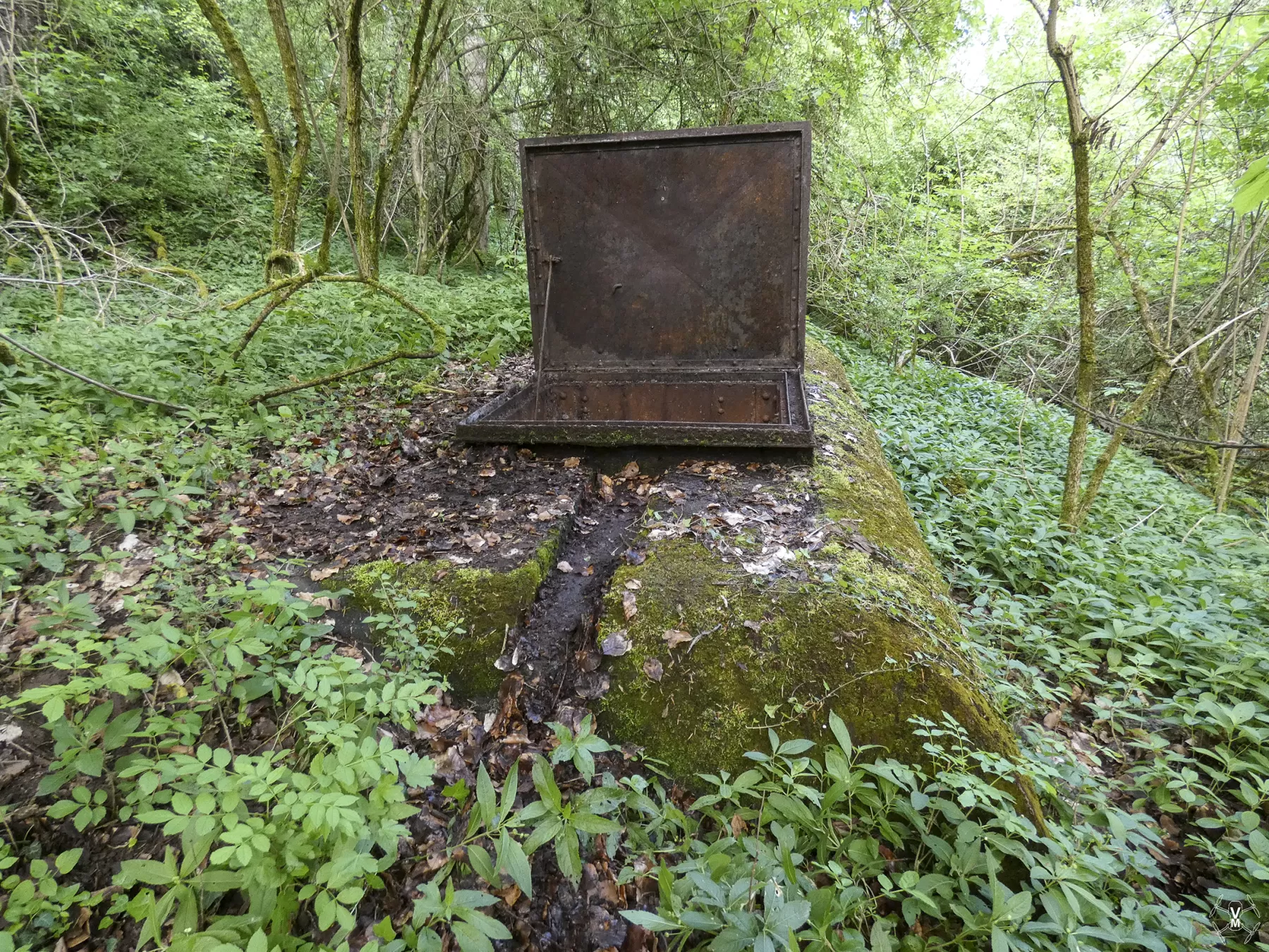 Ligne Maginot - 77M - (Chambre de coupure) -  - Vincent Vermeulen