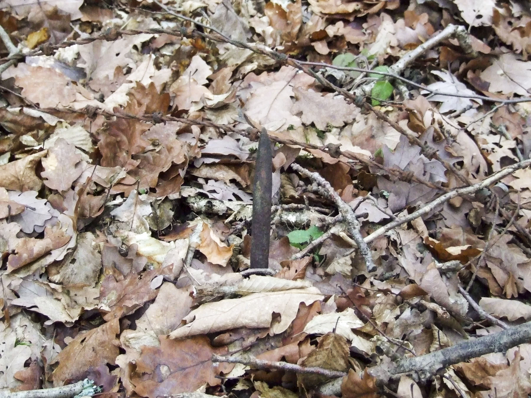 Ligne Maginot - RIPPERT - X13 (QUARTIER KARRE - II/168°RIF) - (Abri) - Les ardillons encore présents. Danger ! - STENGER Mathieu