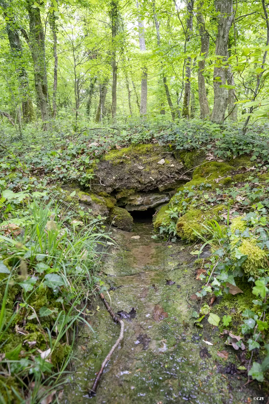 Ligne Maginot - TETING - A38 - (Ouvrage d'infanterie) - Sortie d'égout - Lia VERMEULEN