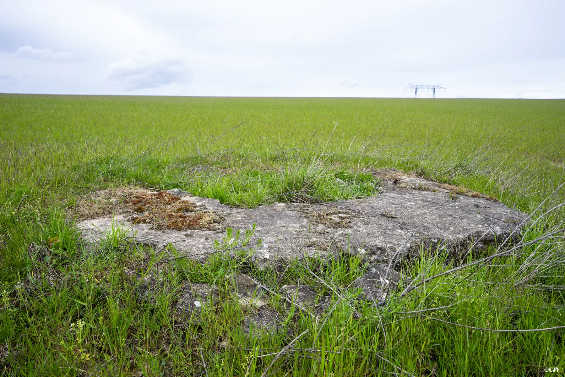 Ligne Maginot - AT3 - (Cuve pour arme d'infanterie) -  - Lia VERMEULEN