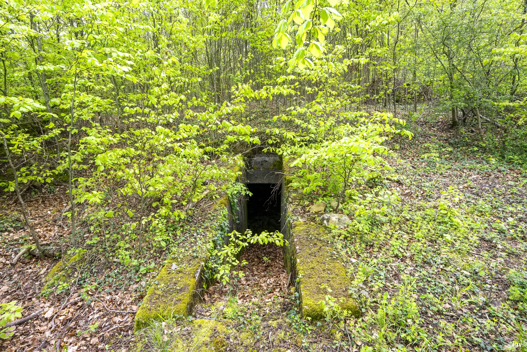 Ligne Maginot - BOIS DE KERFENT 1 (8°CIE II/156° RIF) - (PC de Sous-Quartier) - La première alvéole - Lia VERMEULEN