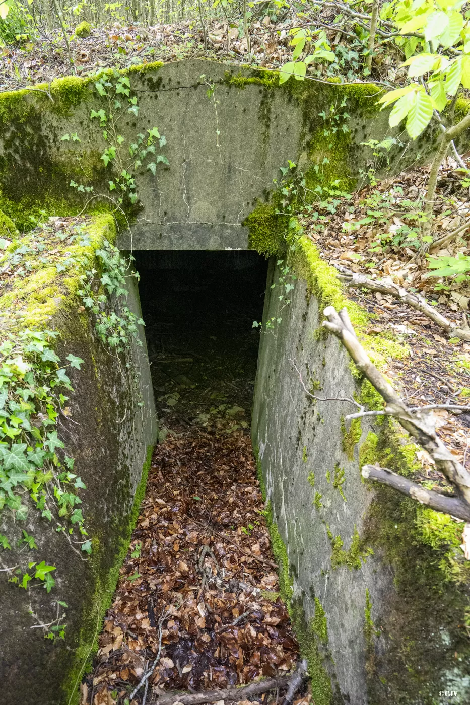 Ligne Maginot - BOIS DE KERFENT 1 (8°CIE II/156° RIF) - (PC de Sous-Quartier) - La première alvéole - Lia VERMEULEN