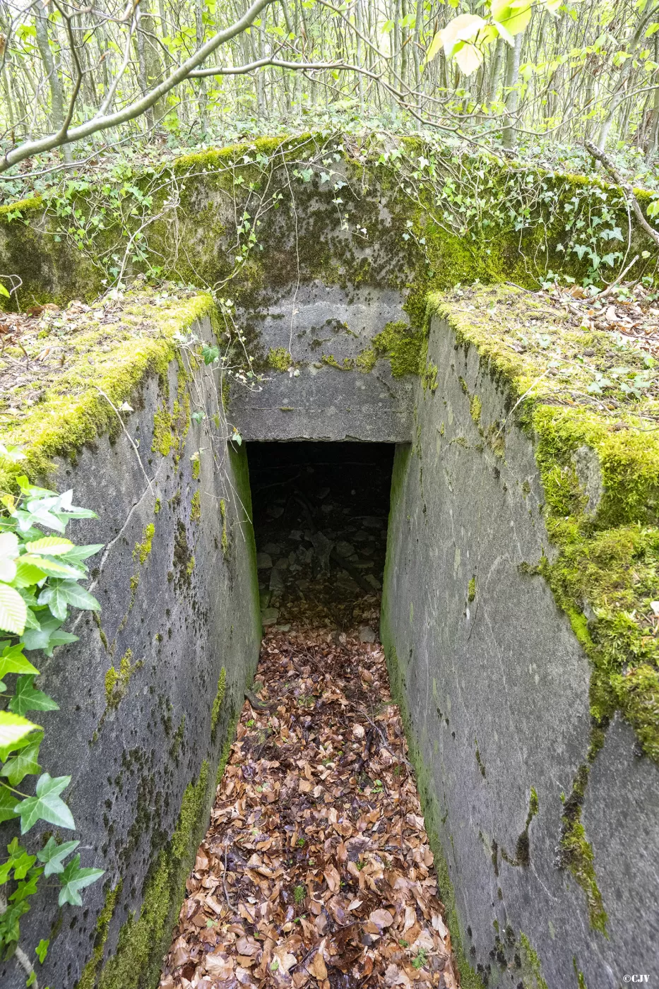 Ligne Maginot - BOIS DE KERFENT 1 (8°CIE II/156° RIF) - (PC de Sous-Quartier) - Deuxième alvéole - Lia VERMEULEN