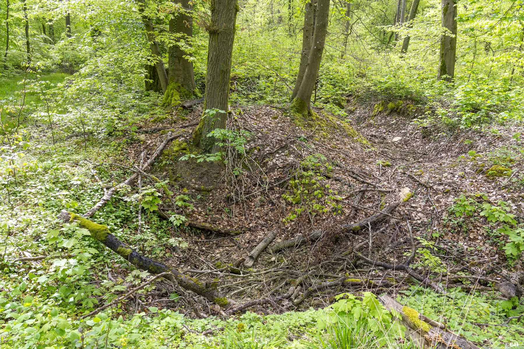 Ligne Maginot - BOIS DE KERFENT 1 (8°CIE II/156° RIF) - (PC de Sous-Quartier) - Les restes d'une batterie peuvent être trouvés à proximité - Lia VERMEULEN