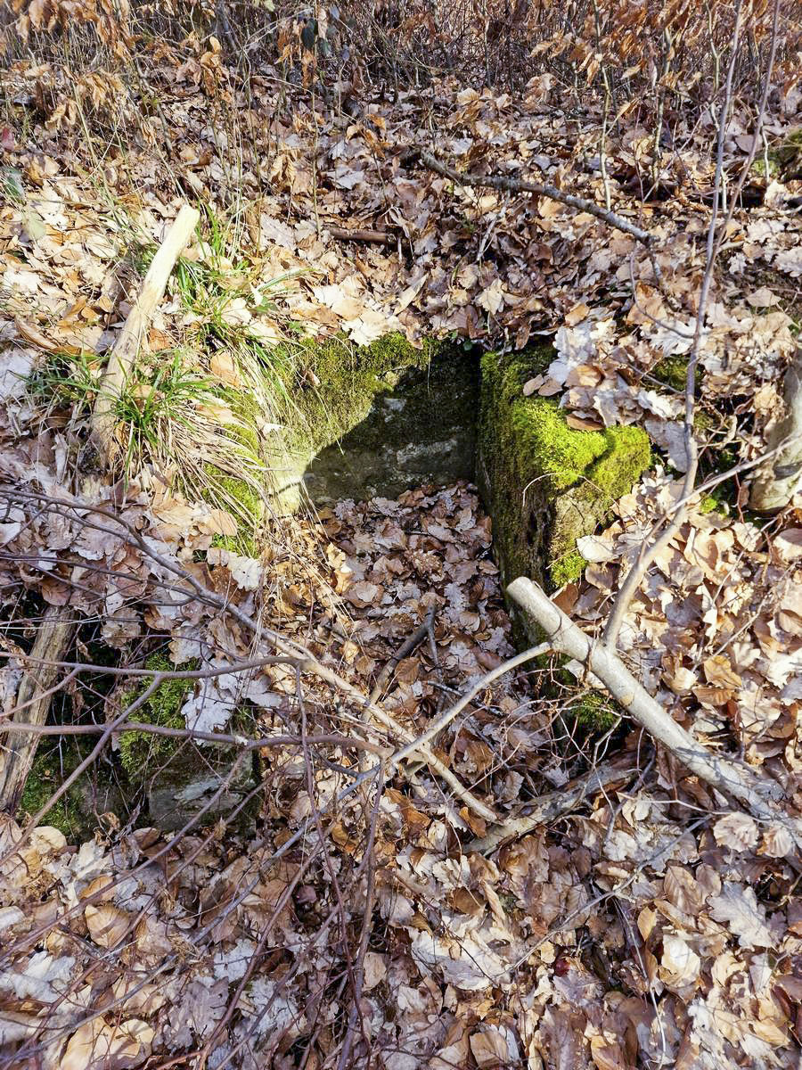 Ligne Maginot - LORENTZERWALD 4 - (Cuve pour arme d'infanterie) - Niche à munitions - Franck Niederlender