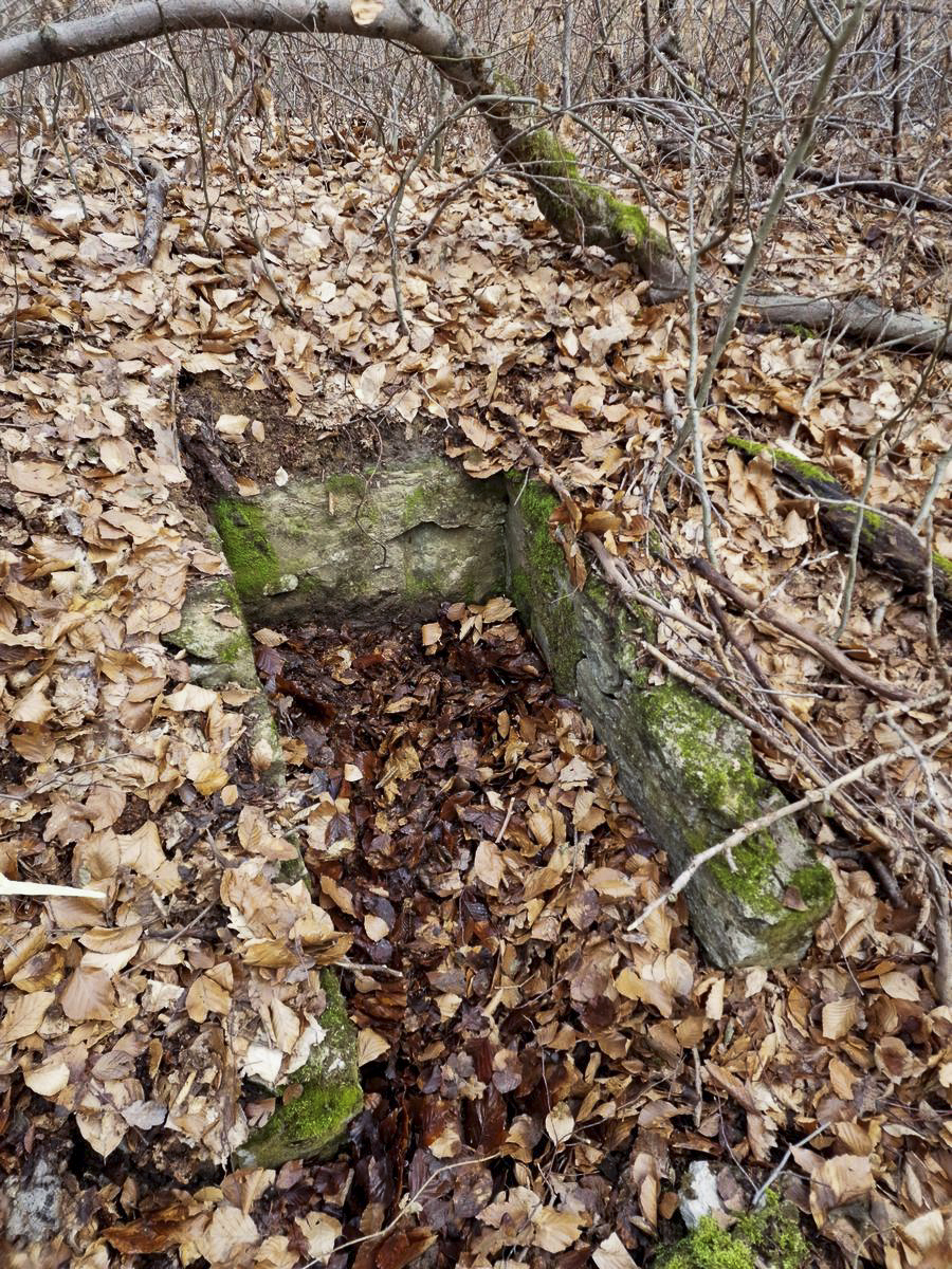 Ligne Maginot - LORENTZERWALD 5 - (Cuve pour arme d'infanterie) - Niche à munitions  - Franck Niederlender