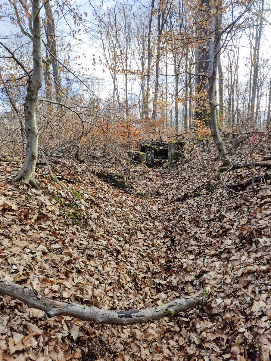 Ligne Maginot - LORENTZERWALD 5 - (Cuve pour arme d'infanterie) - Tranchée reliant les ouvrages Beausoleil - Franck Niederlender