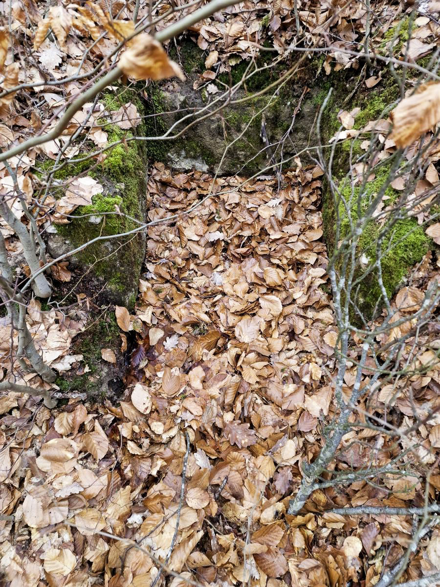 Ligne Maginot - LORENTZERWALD 2 - (Cuve pour arme d'infanterie) - Niche à munitions - Franck Niederlender