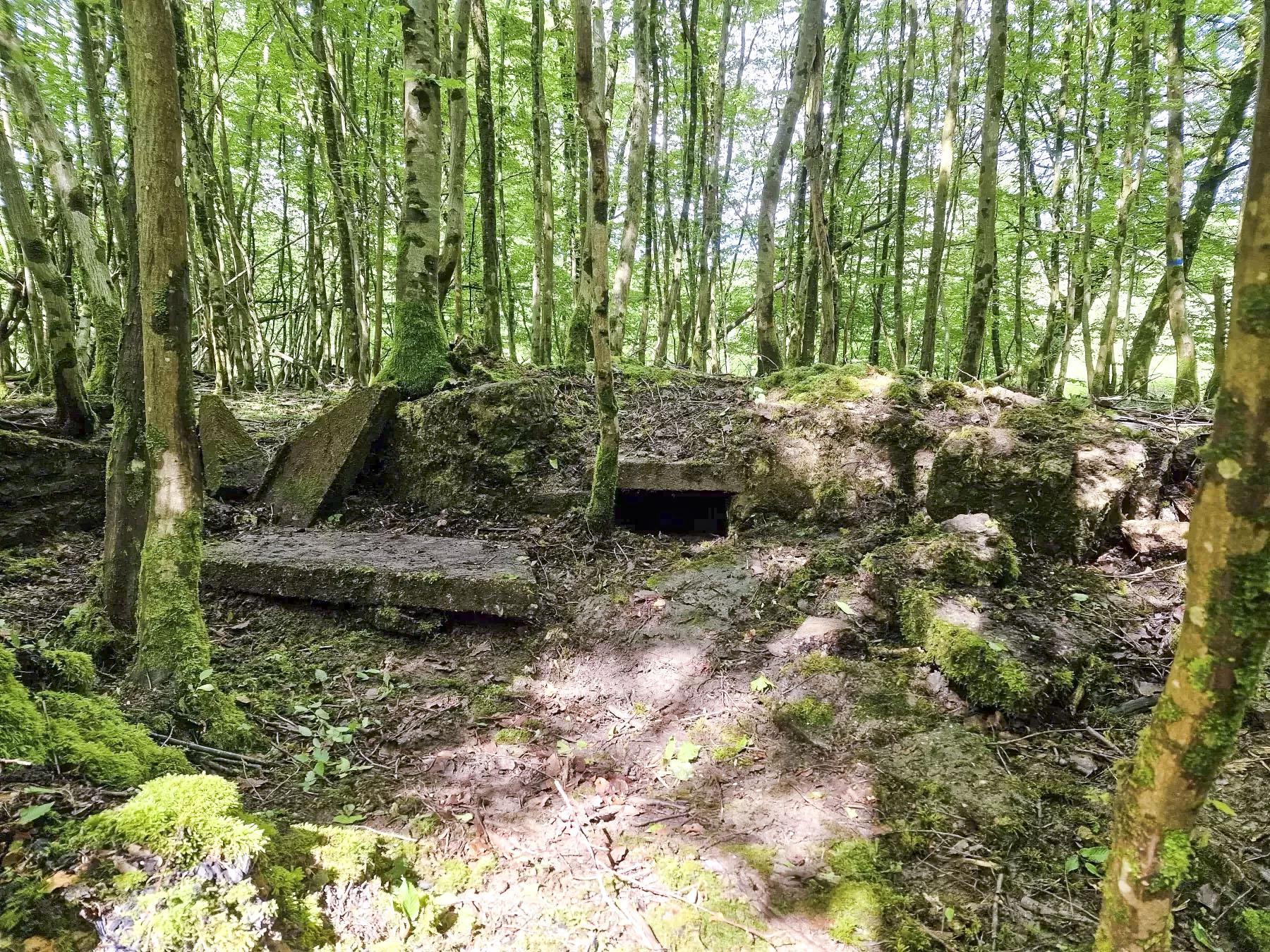 Ligne Maginot - LANGWIESERWALD 1 - (Cuve pour arme d'infanterie) - Reste de double poste de tir avec niche à munitions au milieu - Franck Niederlender