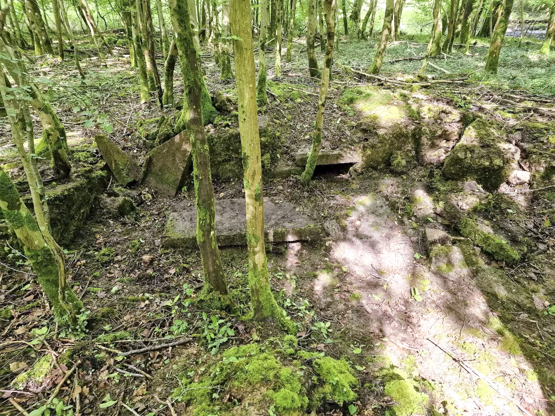 Ligne Maginot - LANGWIESERWALD 1 - (Cuve pour arme d'infanterie) - Reste de double poste de tir avec niche à munitions au milieu - Franck Niederlender