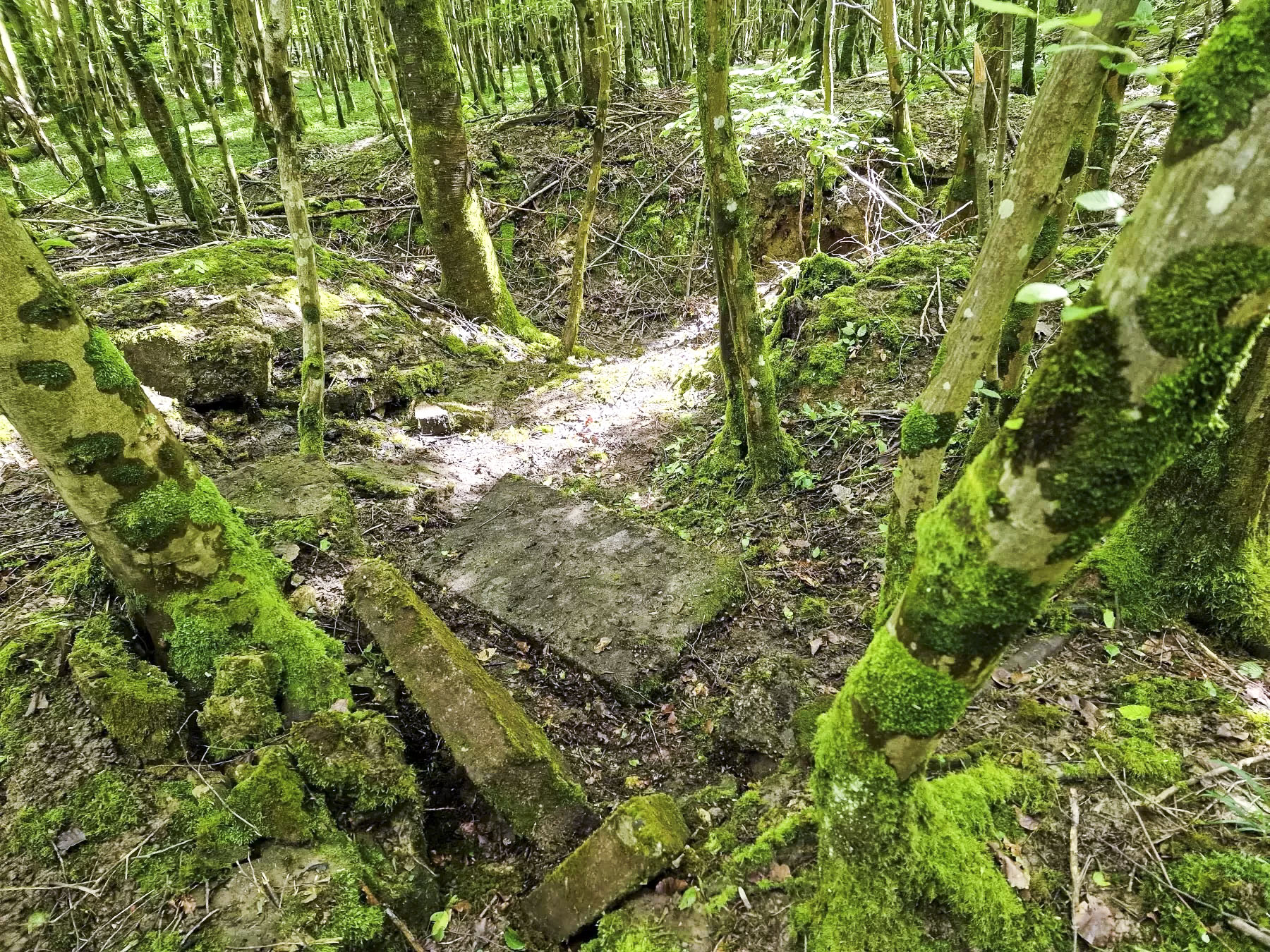Ligne Maginot - LANGWIESERWALD 1 - (Cuve pour arme d'infanterie) - Reste de double poste de tir avec niche à munitions au milieu - Franck Niederlender