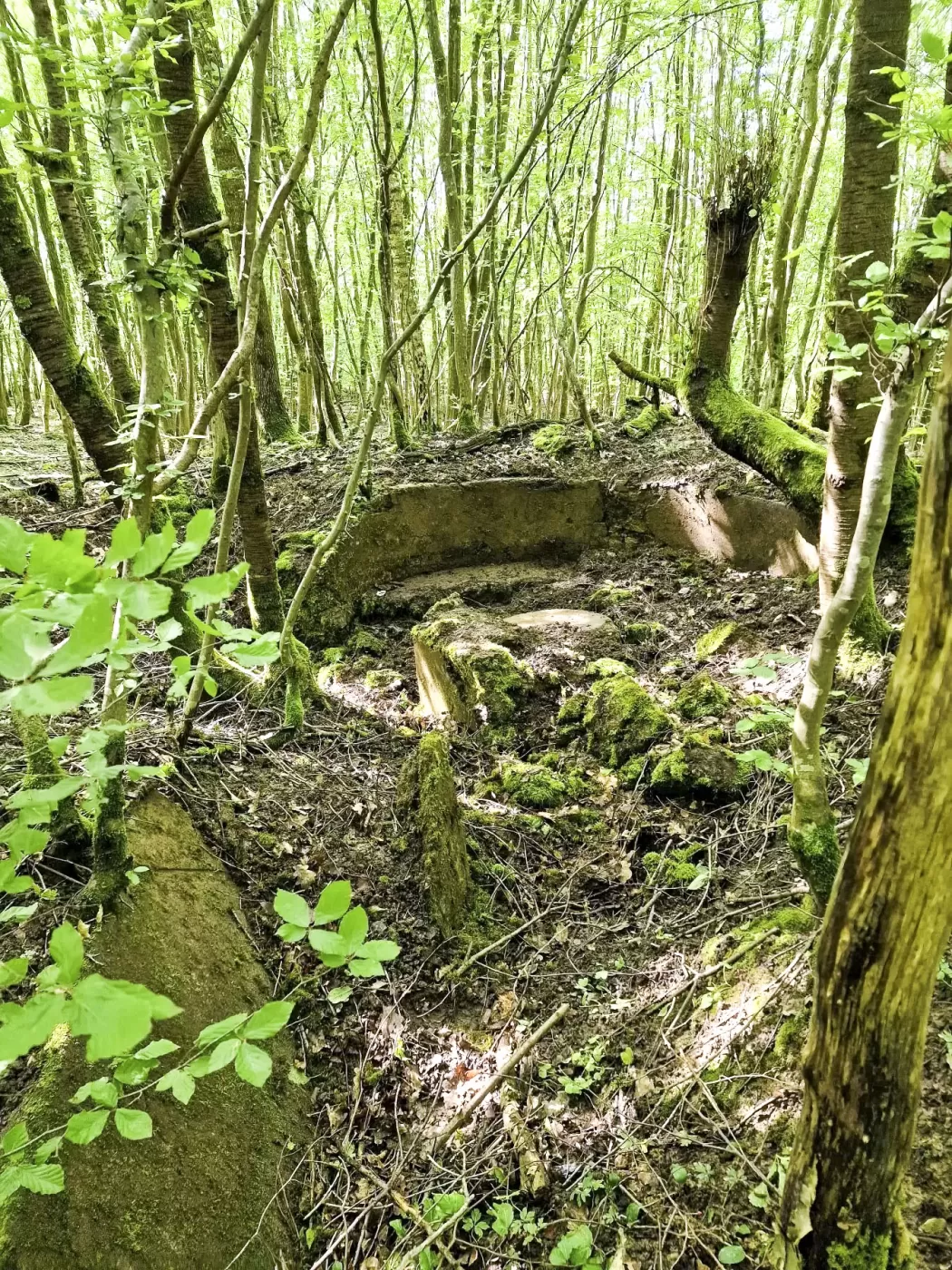 Ligne Maginot - LANGWIESERWALD 2 - (Cuve pour arme d'infanterie) - Poste de tir avec plot central - Franck Niederlender