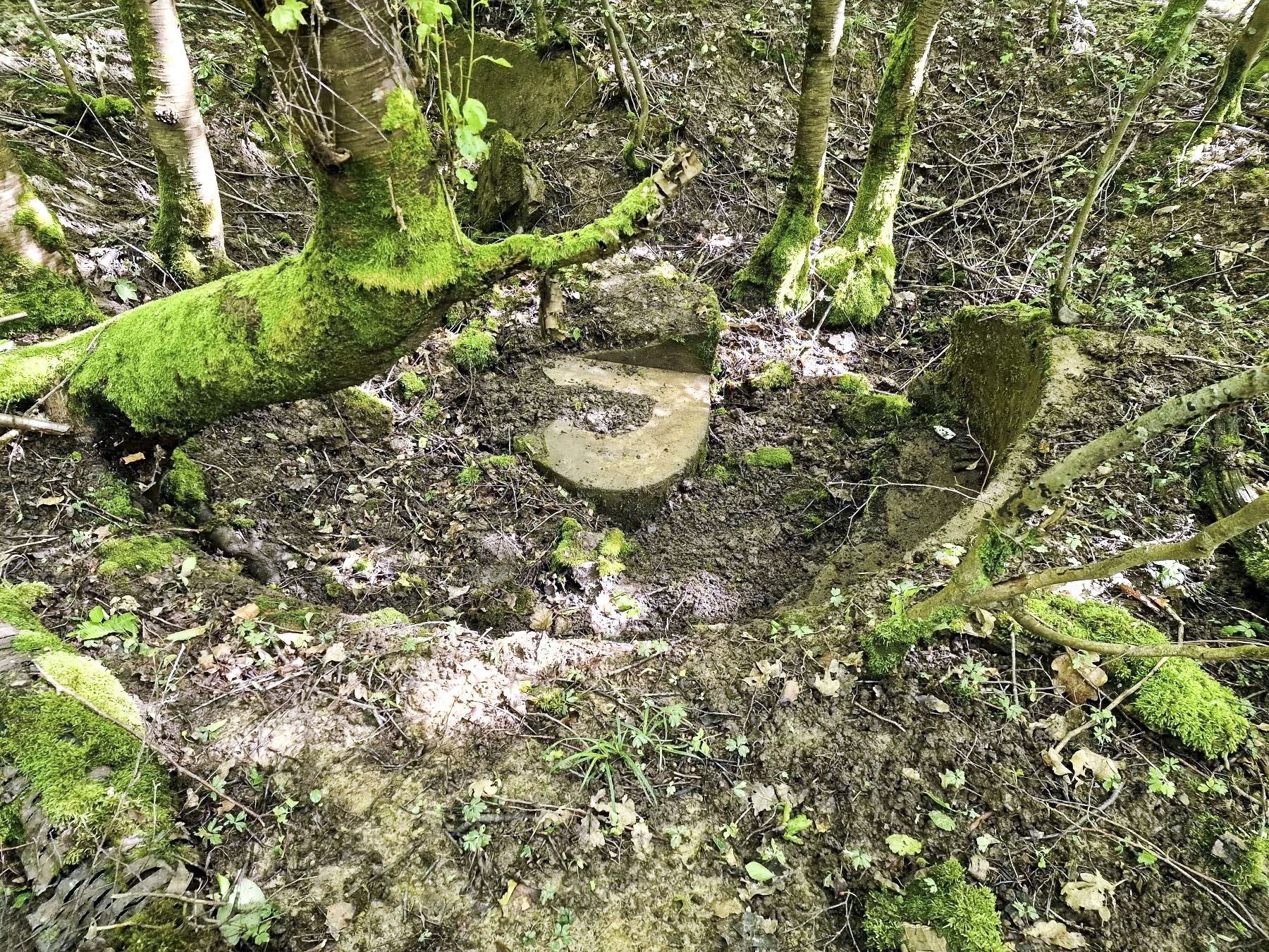 Ligne Maginot - LANGWIESERWALD 2 - (Cuve pour arme d'infanterie) - Poste de tir avec plot central - Franck Niederlender
