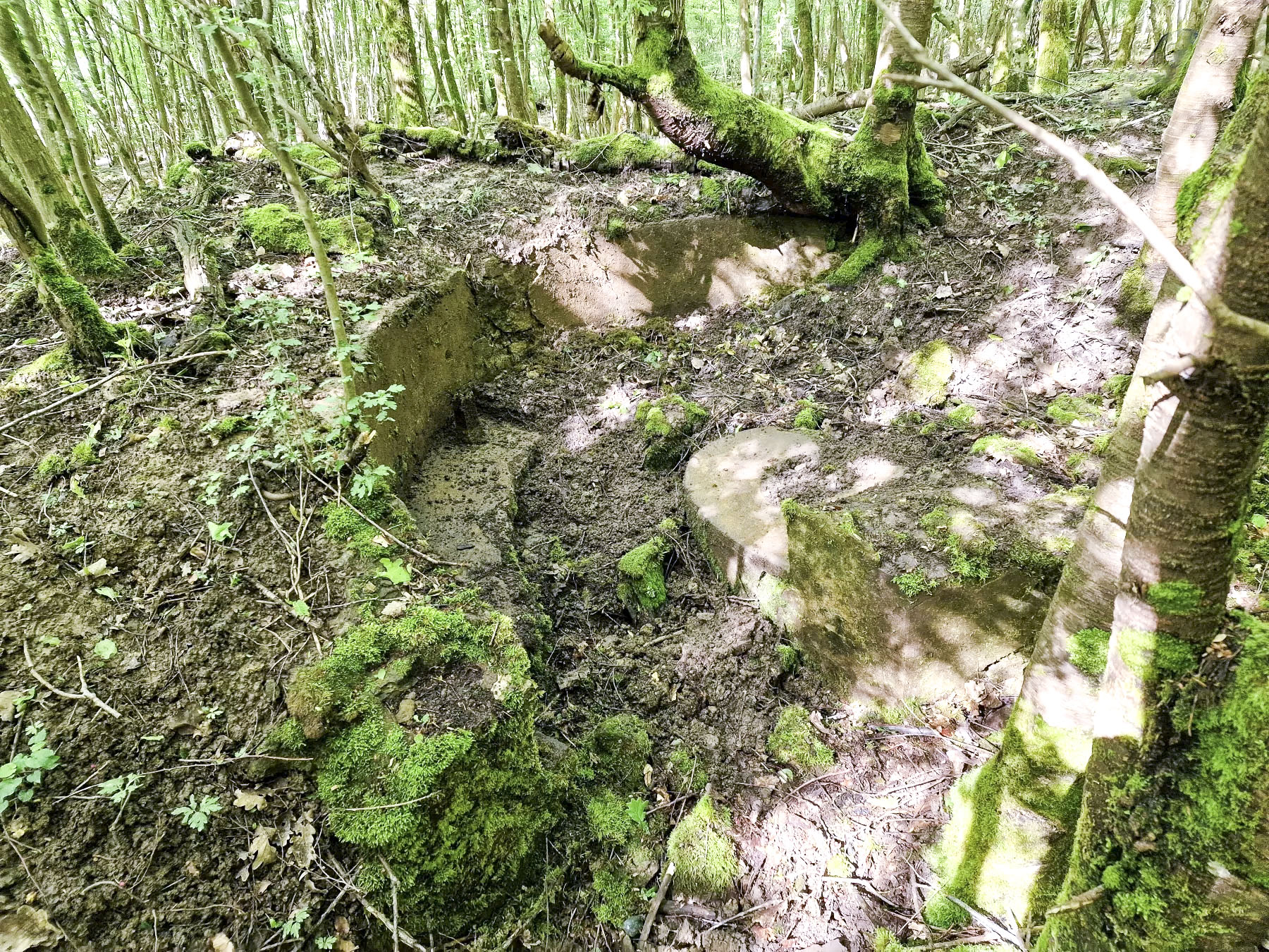 Ligne Maginot - LANGWIESERWALD 2 - (Cuve pour arme d'infanterie) - Vue latérale - Franck Niederlender