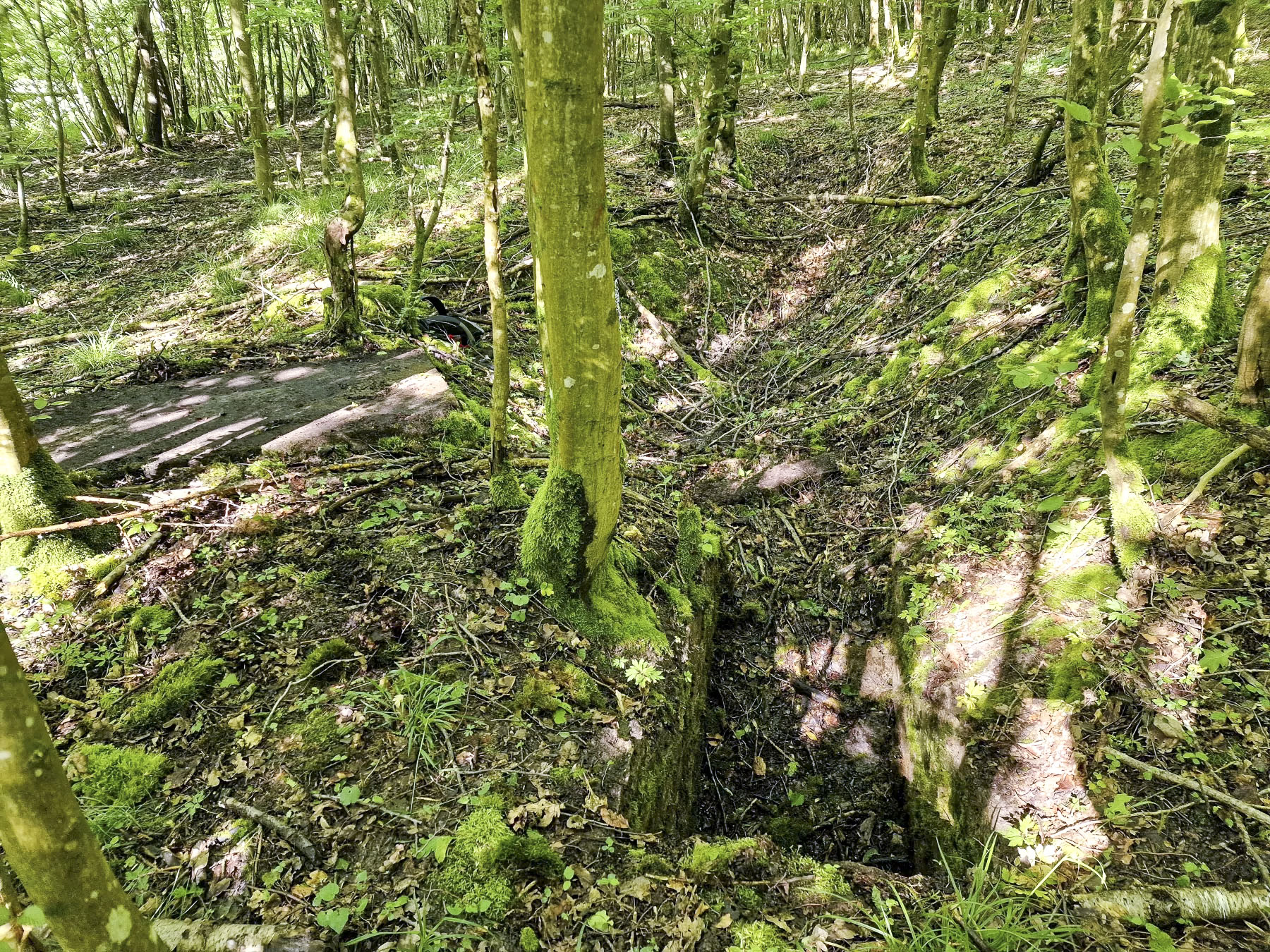 Ligne Maginot - LANGWIESERWALD 3 - (Observatoire indéterminé) - Poste d'observation - Franck Niederlender