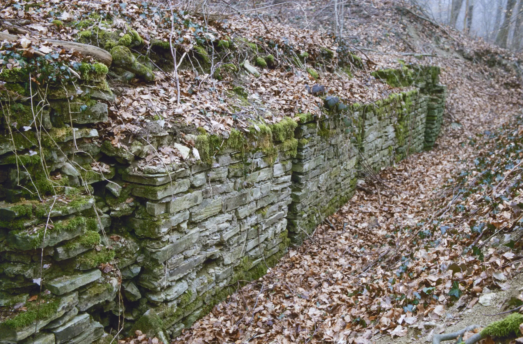 Ligne Maginot - BOIS DE TETING 2 - (PC) -  - MANSUY Michel