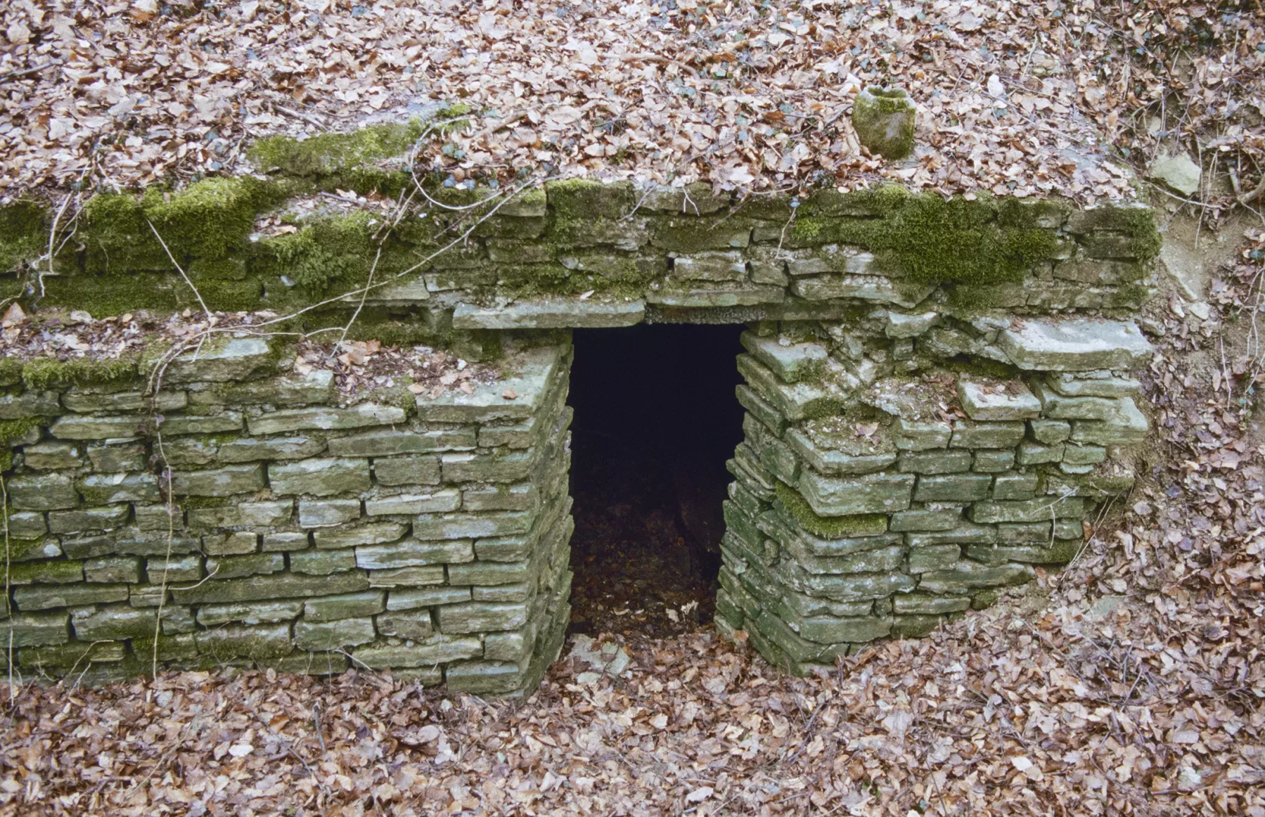 Ligne Maginot - BOIS DE TETING 2 - (PC) - L'alvéole droite - MANSUY Michel