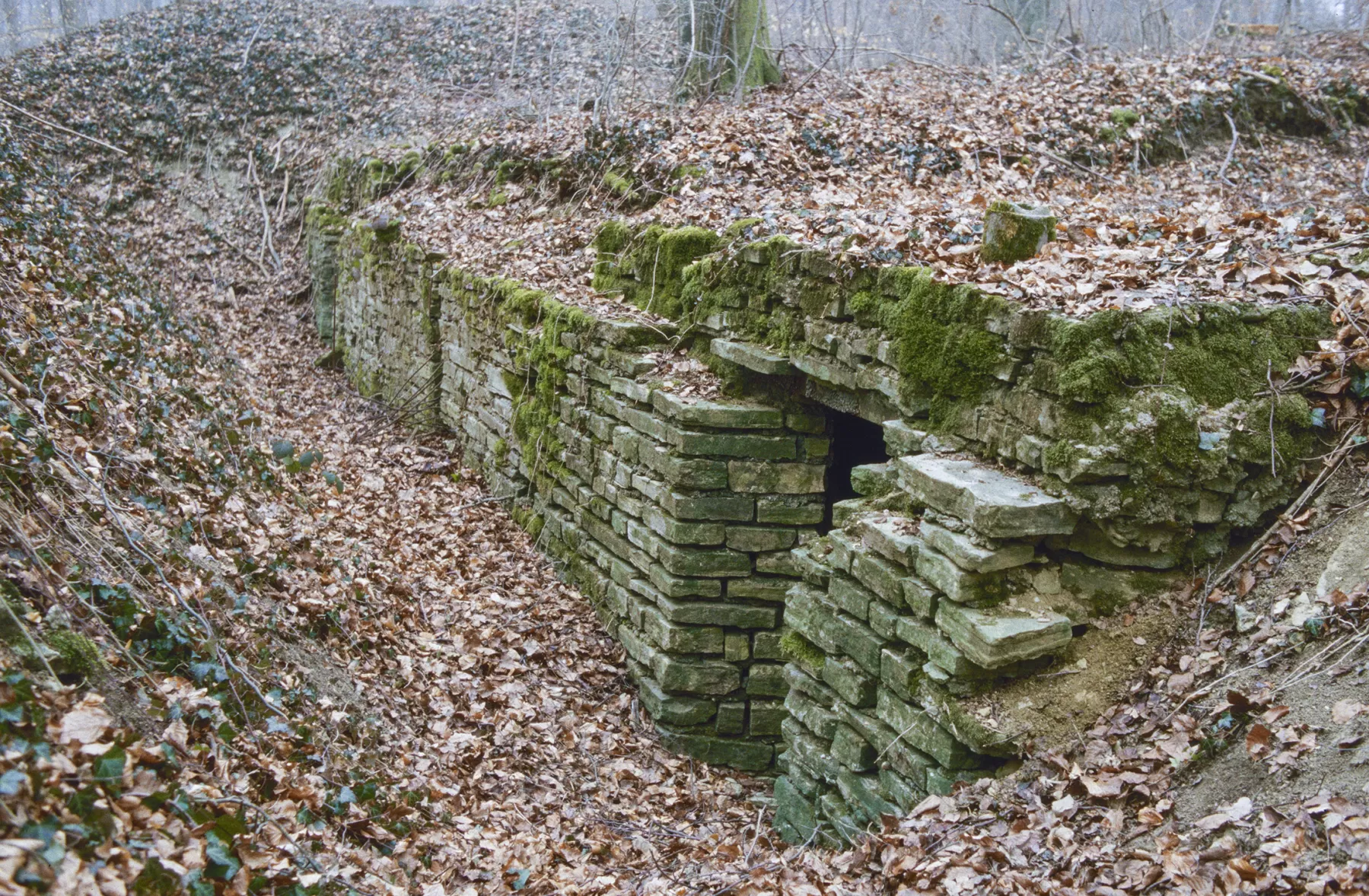 Ligne Maginot - BOIS DE TETING 2 - (PC) -  - MANSUY Michel