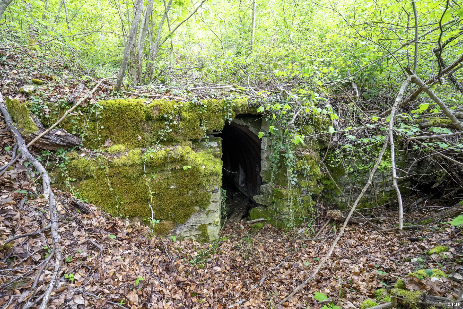 Ligne Maginot - BOIS DE TETING 2 - (PC) - L'alvéole gauche - Lia VERMEULEN