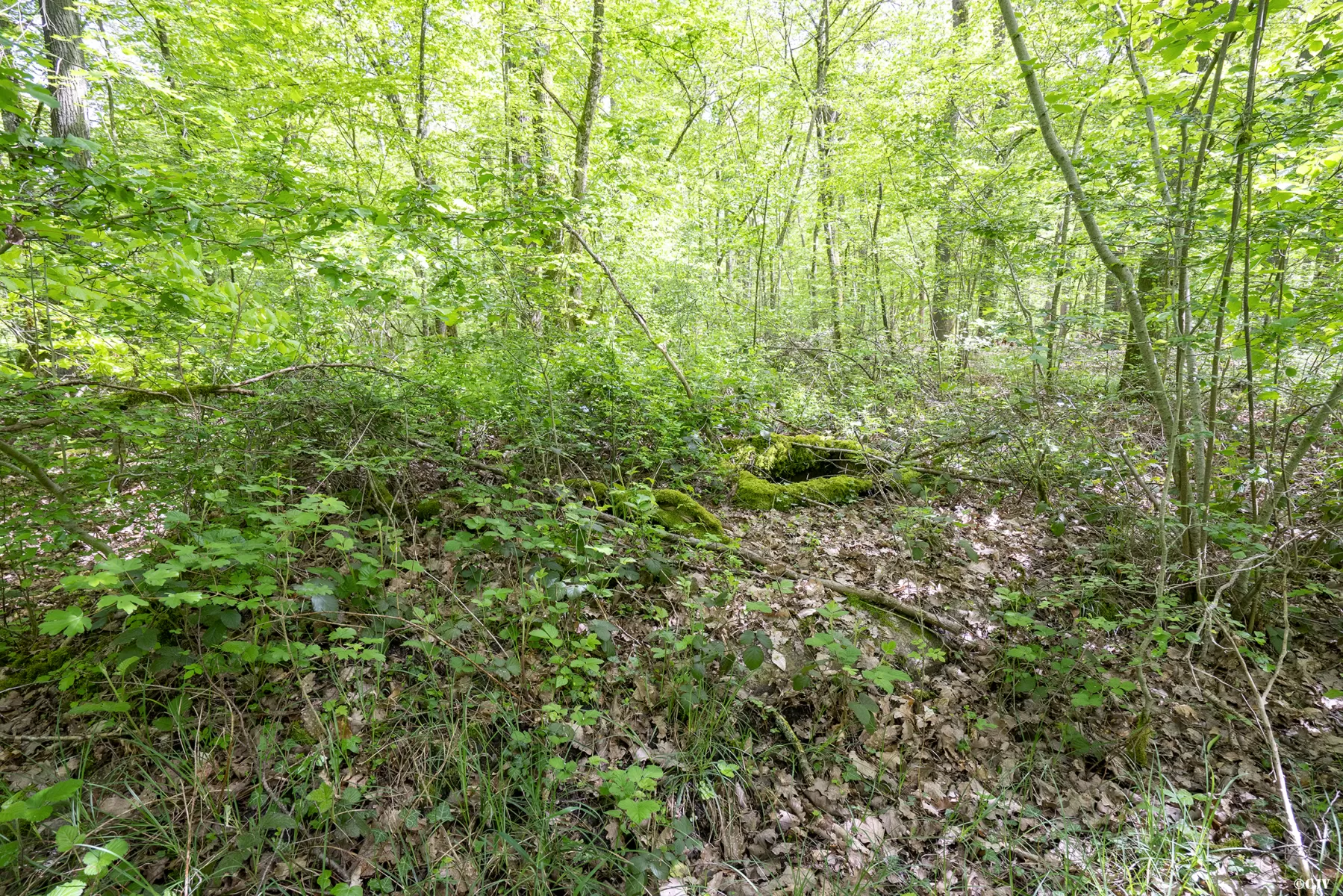 Ligne Maginot - 3A - (Chambre de coupure) -  - Lia VERMEULEN