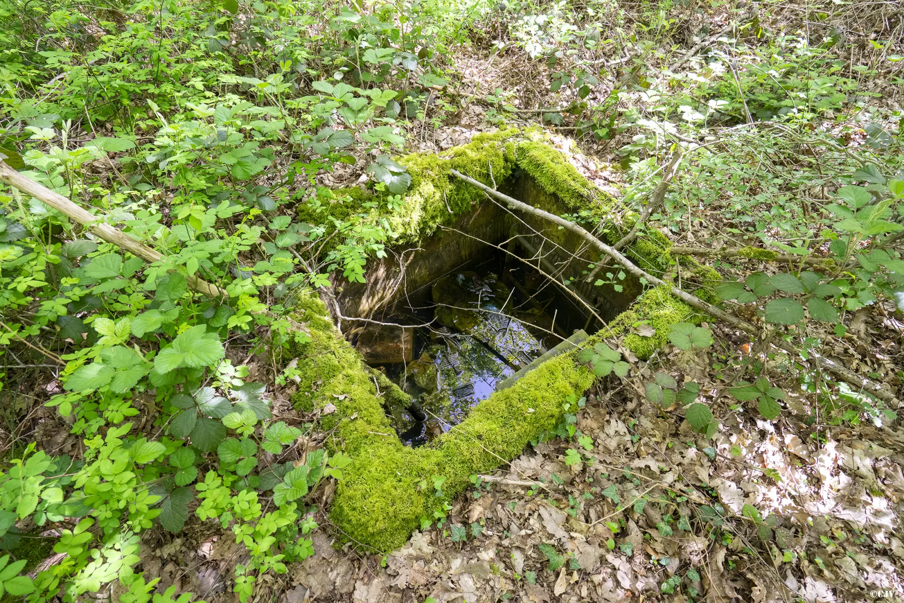 Ligne Maginot - 3A - (Chambre de coupure) -  - Lia VERMEULEN