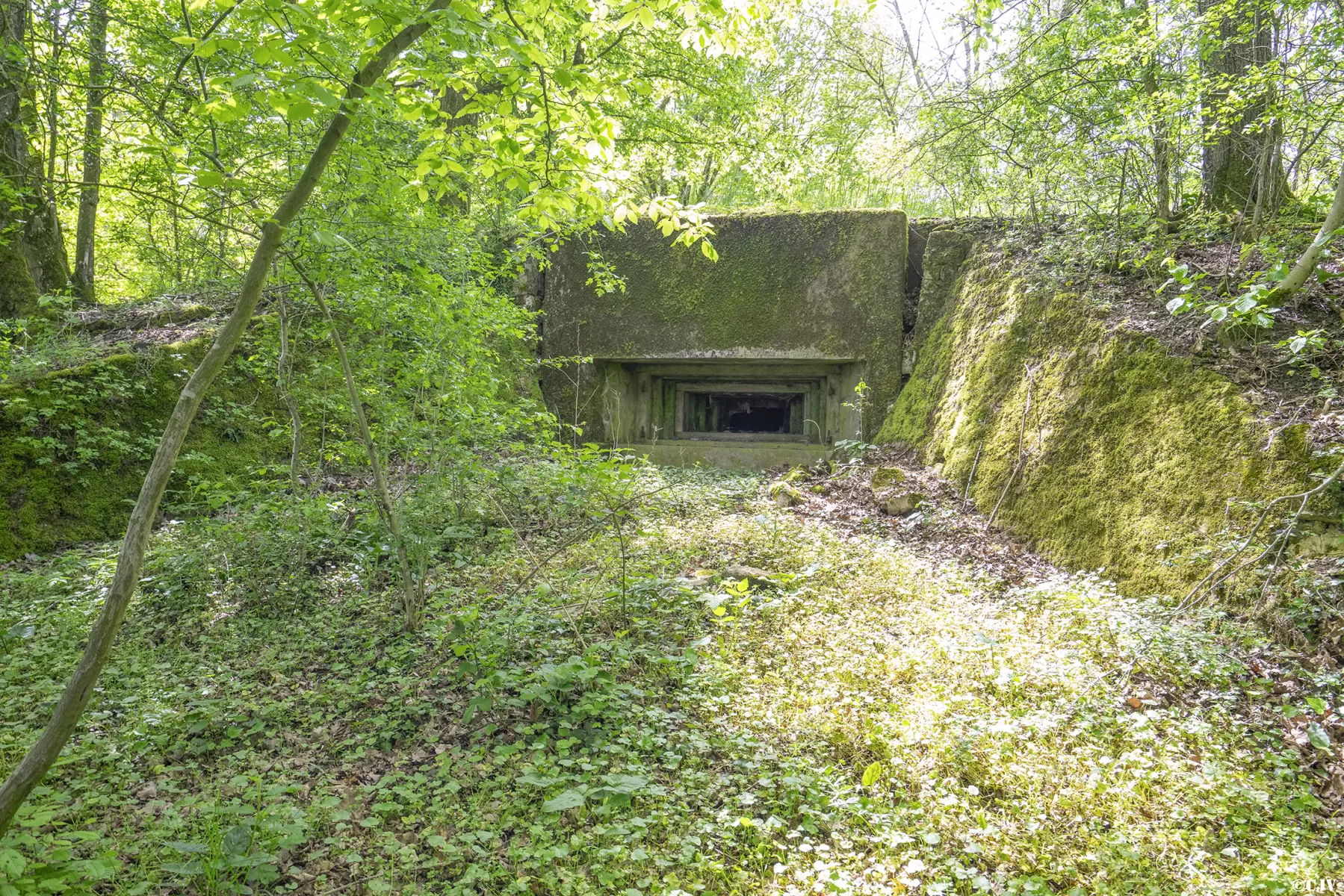 Ligne Maginot - BB3 - BUCHWIESE EST - (Blockhaus pour canon) - Créneau canon frontal - Lia VERMEULEN