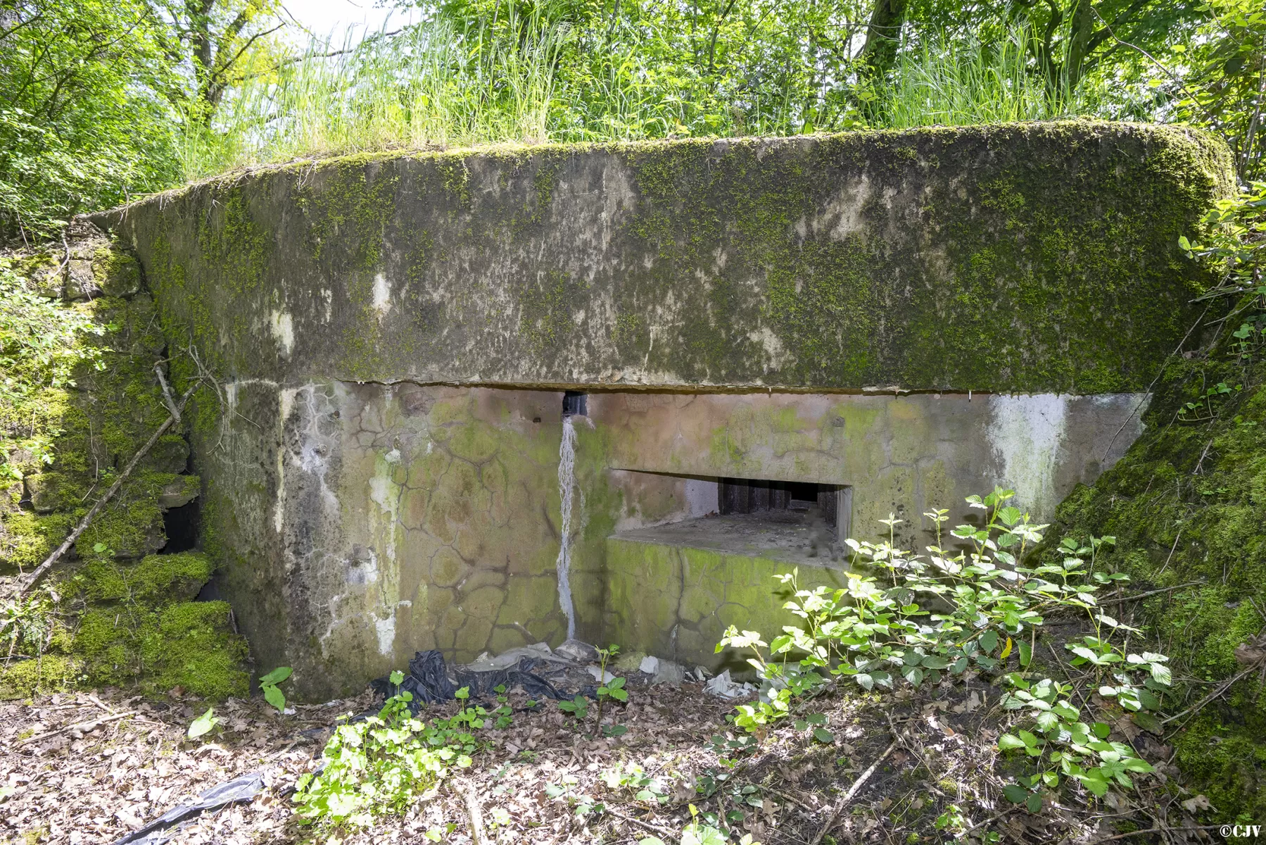 Ligne Maginot - BB3 - BUCHWIESE EST - (Blockhaus pour canon) - Flanquement gauche - Lia VERMEULEN