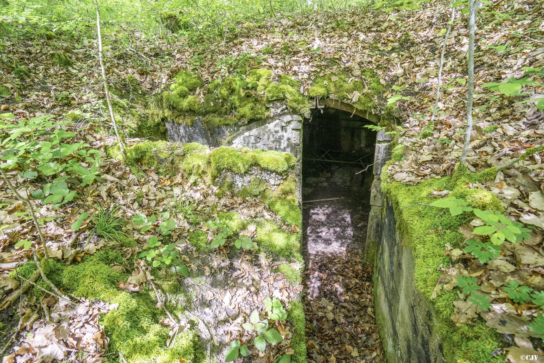 Ligne Maginot - BB3-C - EHEFLOSS EST (CM9/III/161° RIF) - (PC de Sous-Quartier) - L'alvéole gauche - Lia VERMEULEN