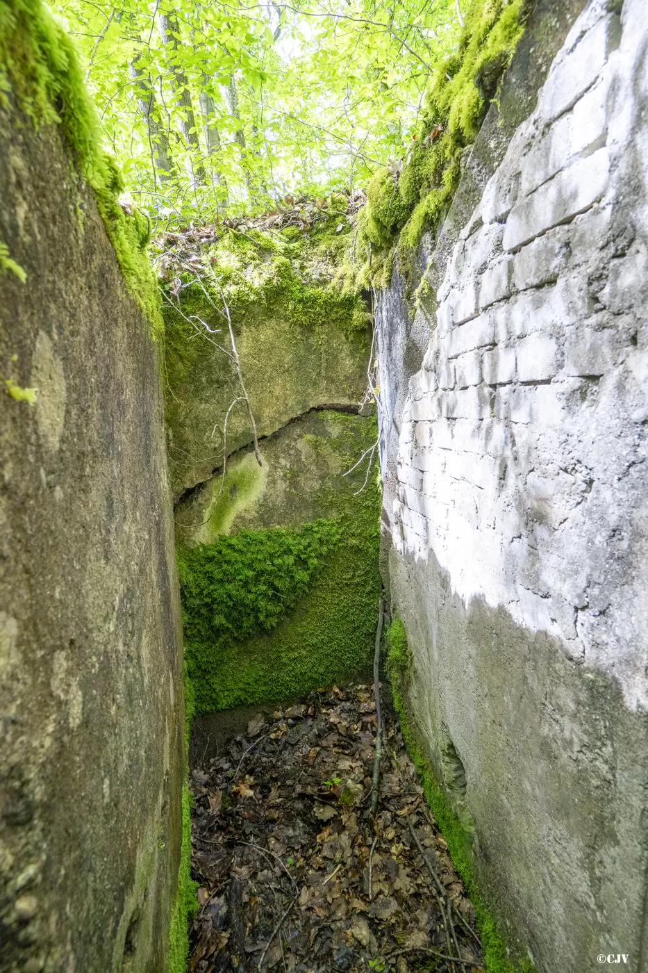Ligne Maginot - BB3-C - EHEFLOSS EST (CM9/III/161° RIF) - (PC de Sous-Quartier) - Niche devant l'alvéole gauche - Lia VERMEULEN