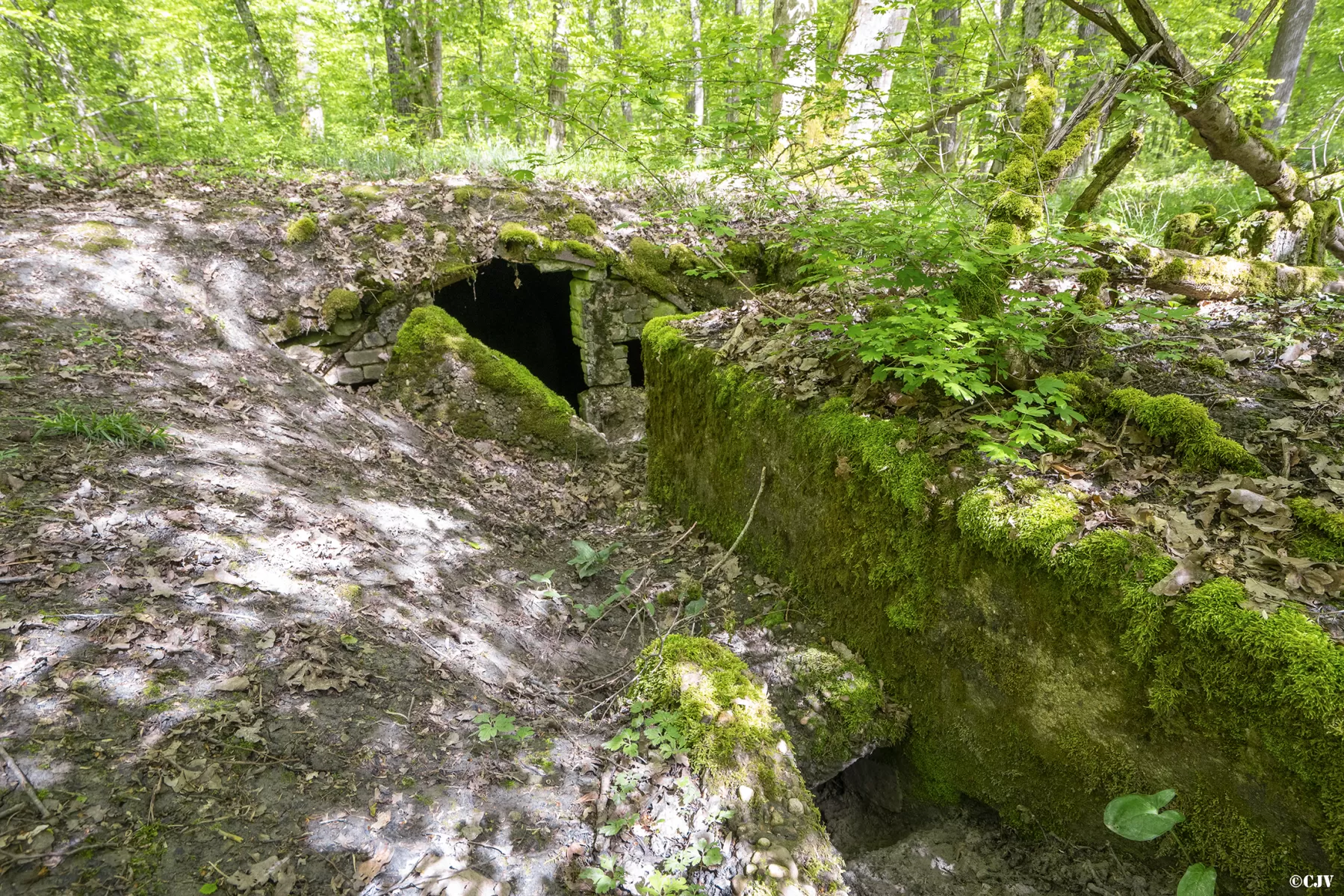Ligne Maginot - BB3-C - EHEFLOSS EST (CM9/III/161° RIF) - (PC de Sous-Quartier) - L'alvéole droite - Lia VERMEULEN