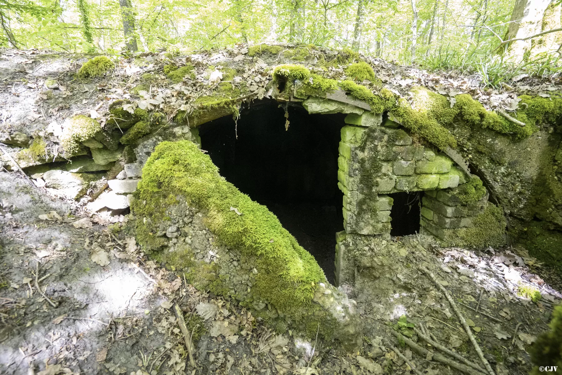 Ligne Maginot - BB3-C - EHEFLOSS EST (CM9/III/161° RIF) - (PC de Sous-Quartier) - L'alvéole droite
L'entrée - Lia VERMEULEN