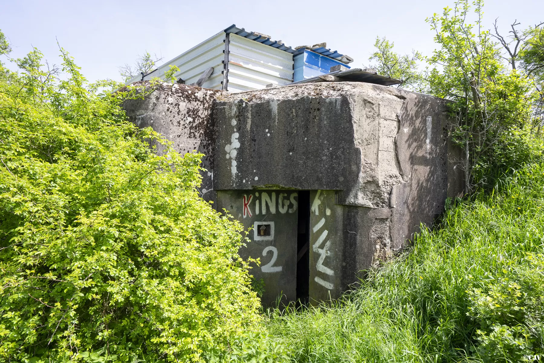 Ligne Maginot - BB32 - FOLTERSBERG - (Blockhaus pour canon) - Le blockhaus est à peine visible derrière tout le matériel - Lia VERMEULEN