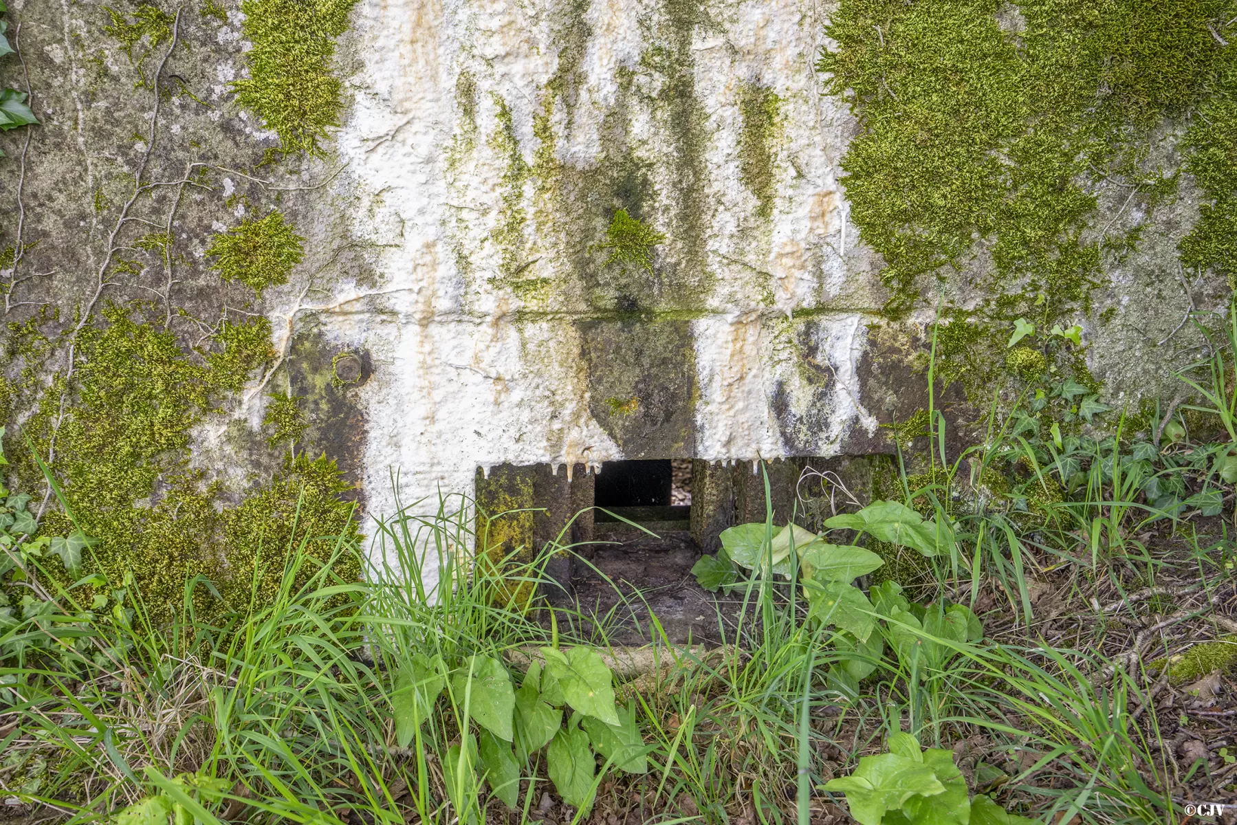 Ligne Maginot - BB129 - BRUEHL EST - (Blockhaus pour arme infanterie) - Créneau pour flanquement - Lia VERMEULEN